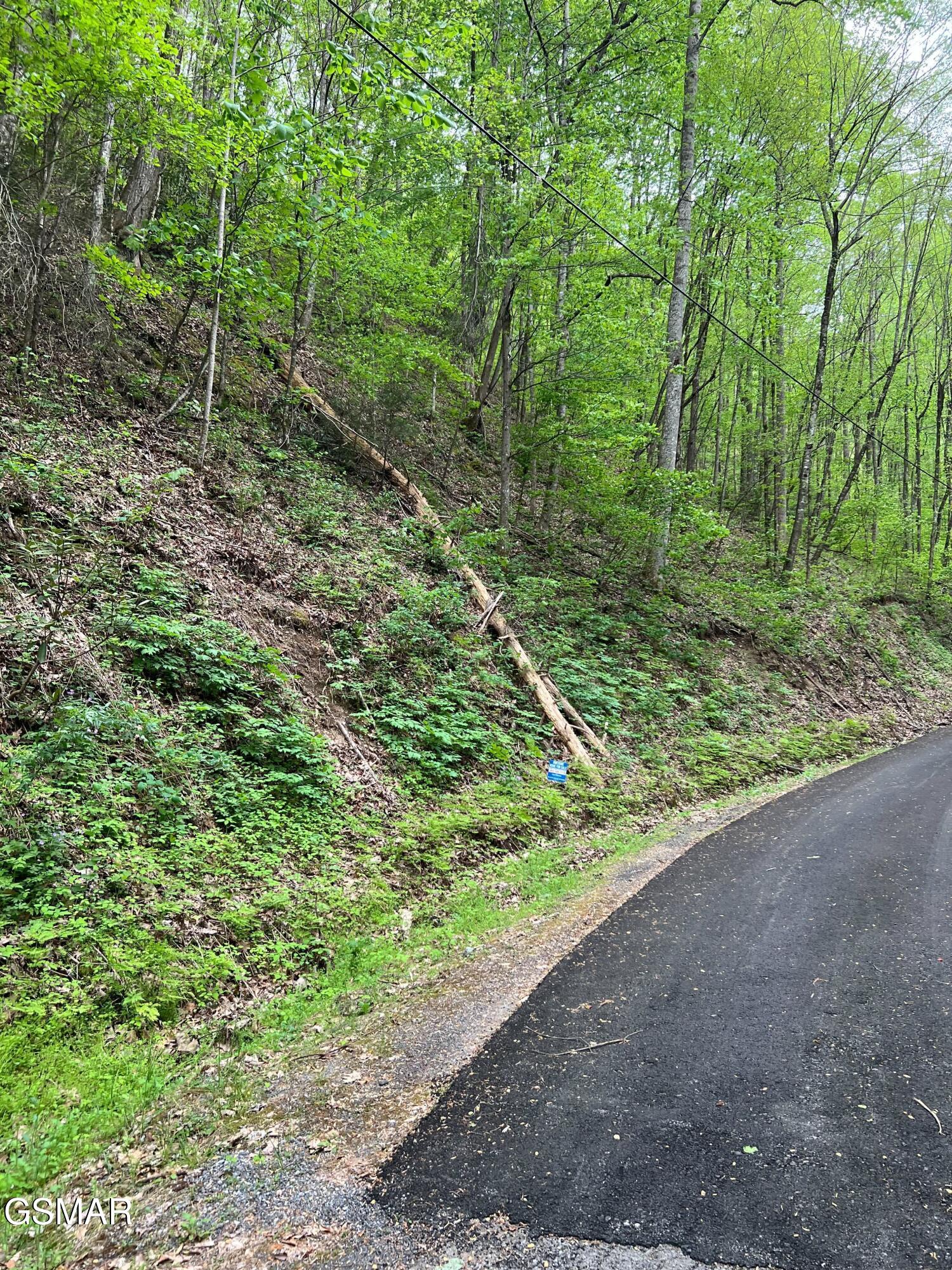 Lot 27 Black Walnut Flats Road Sevierville TN 37876