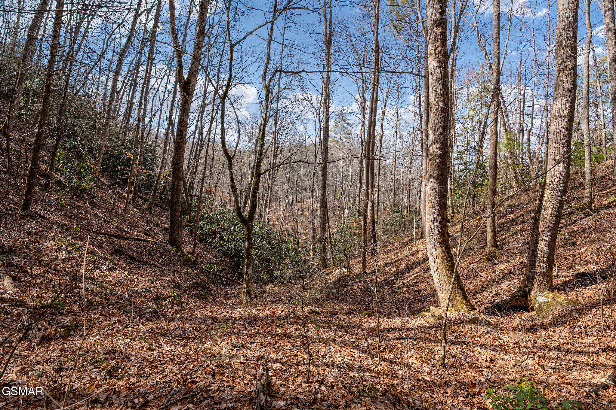 Lot 12 Paint Horse Way Sevierville TN 37876