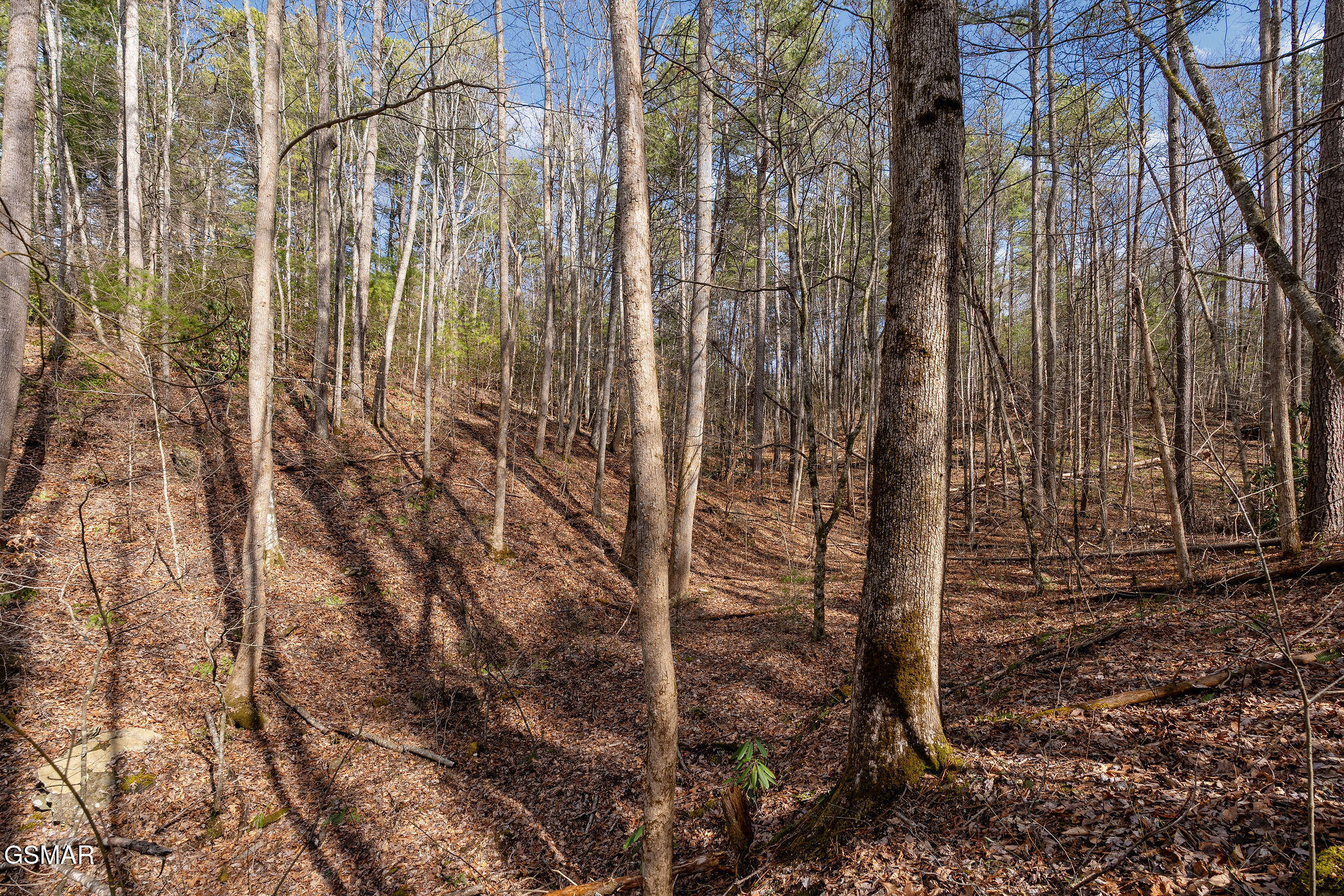 Lot 12 Paint Horse Way Sevierville TN 37876