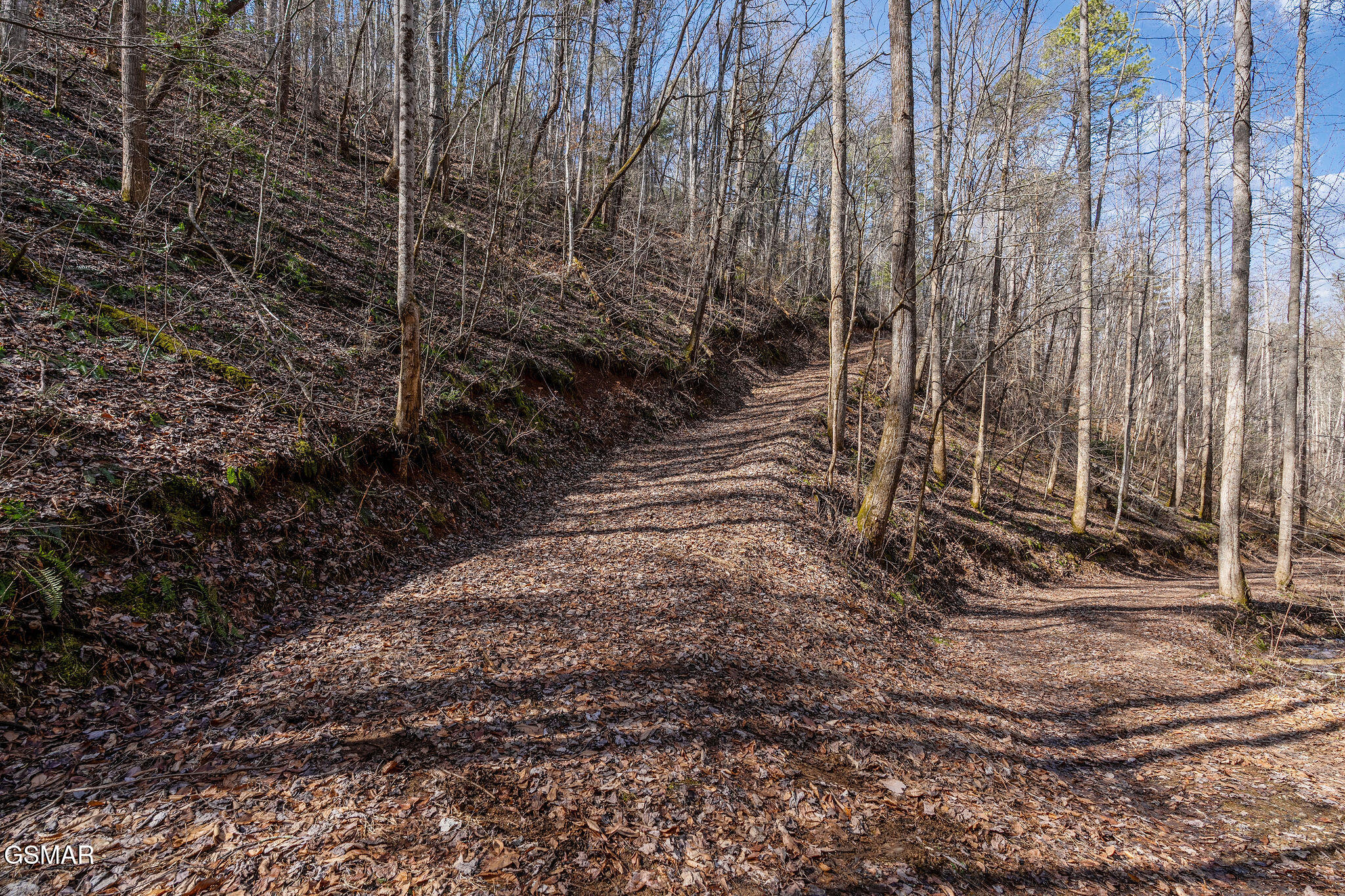 Lot 12 Paint Horse Way Sevierville TN 37876
