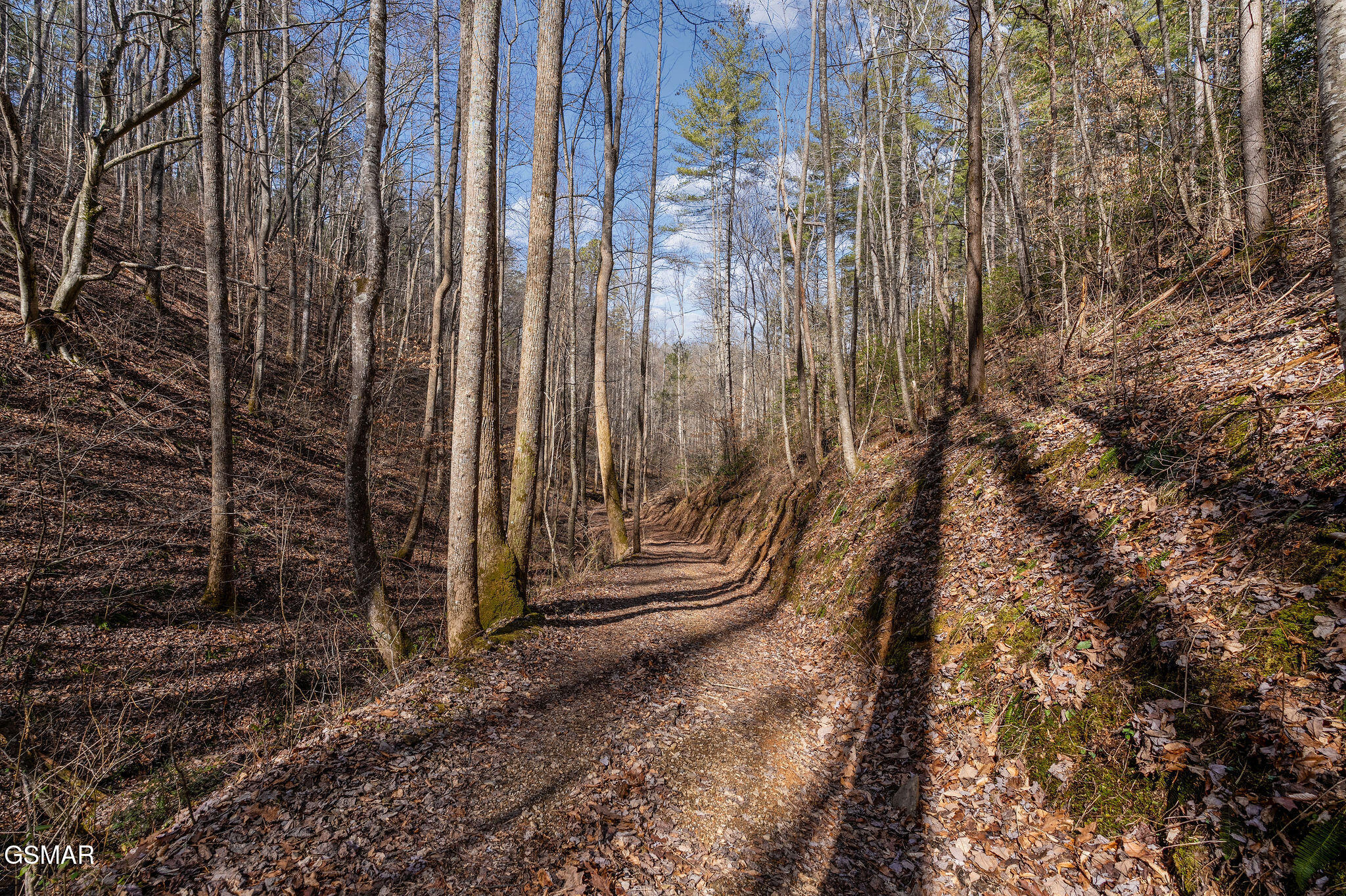 Lot 12 Paint Horse Way Sevierville TN 37876