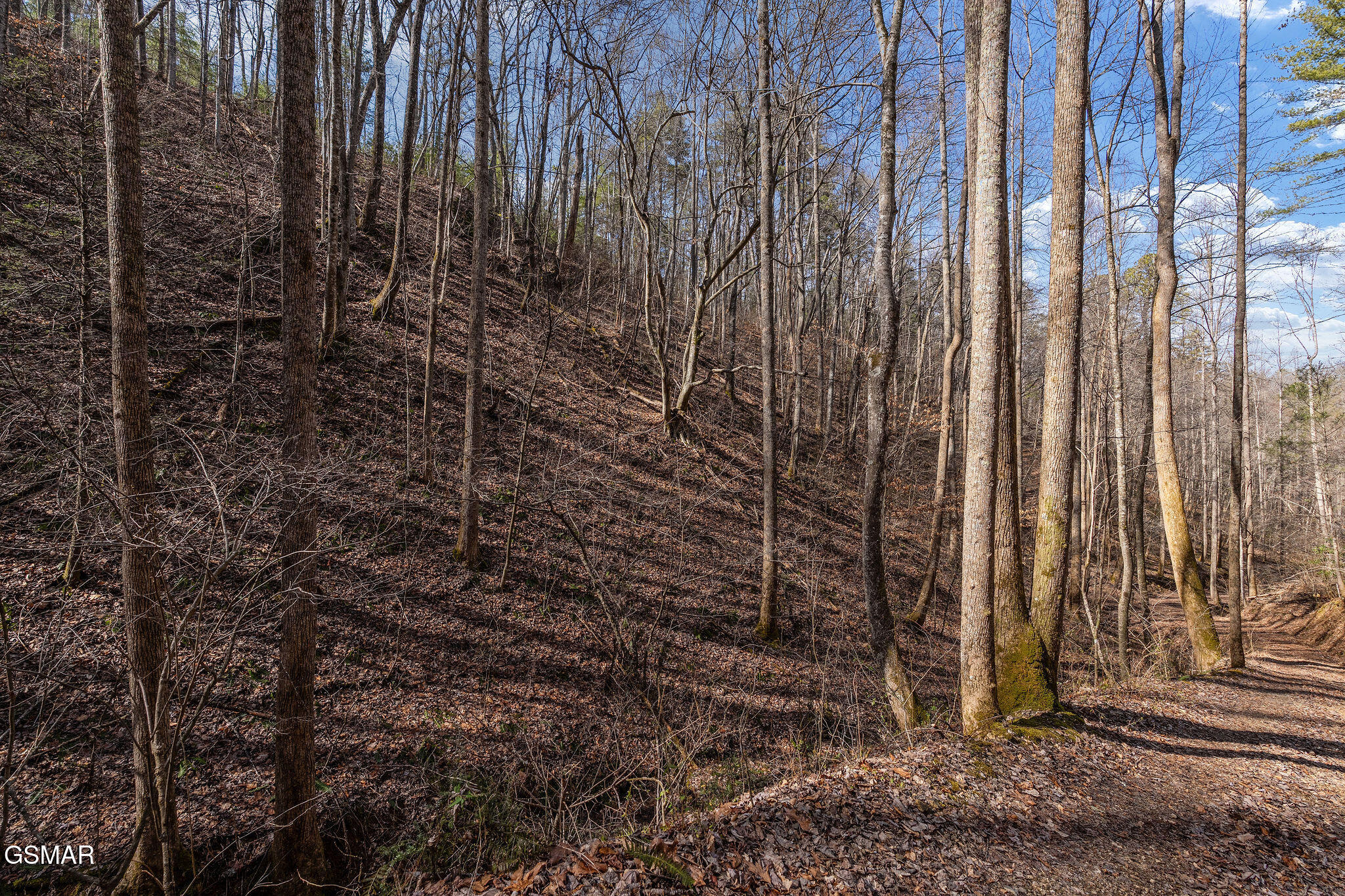 Lot 12 Paint Horse Way Sevierville TN 37876