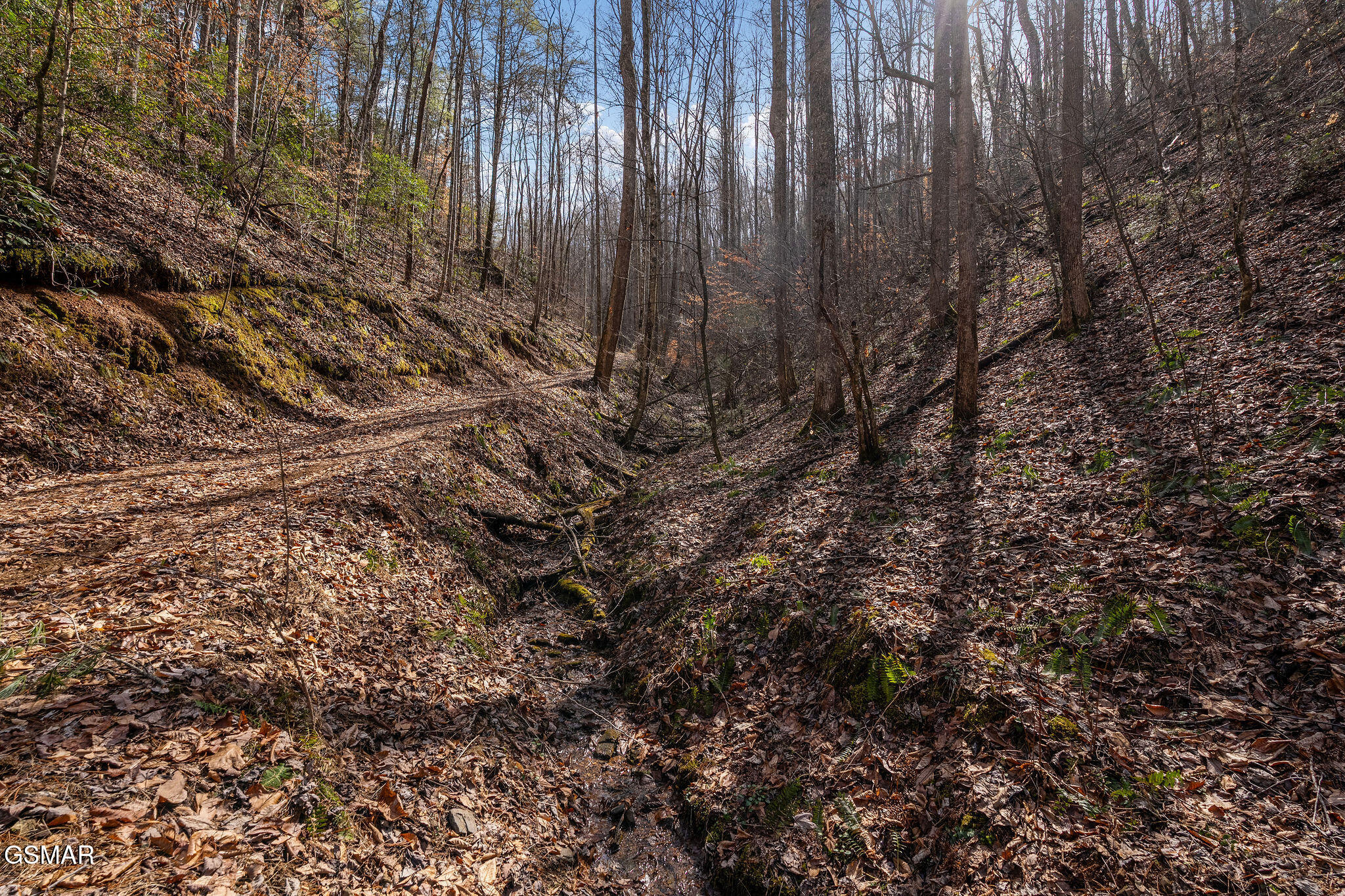 Lot 12 Paint Horse Way Sevierville TN 37876