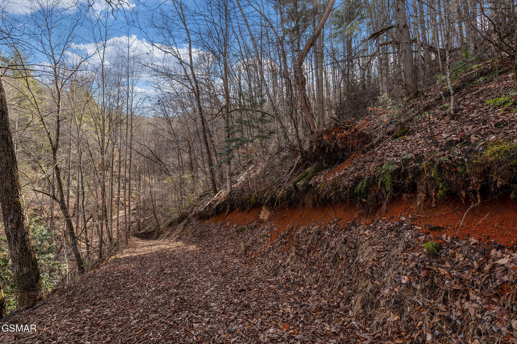 Lot 12 Paint Horse Way Sevierville TN 37876