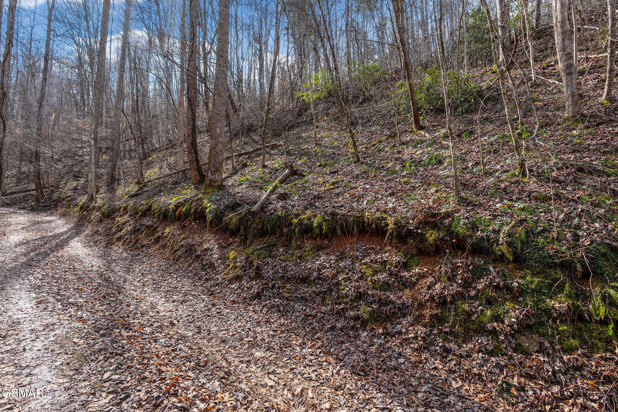 Lot 12 Paint Horse Way Sevierville TN 37876
