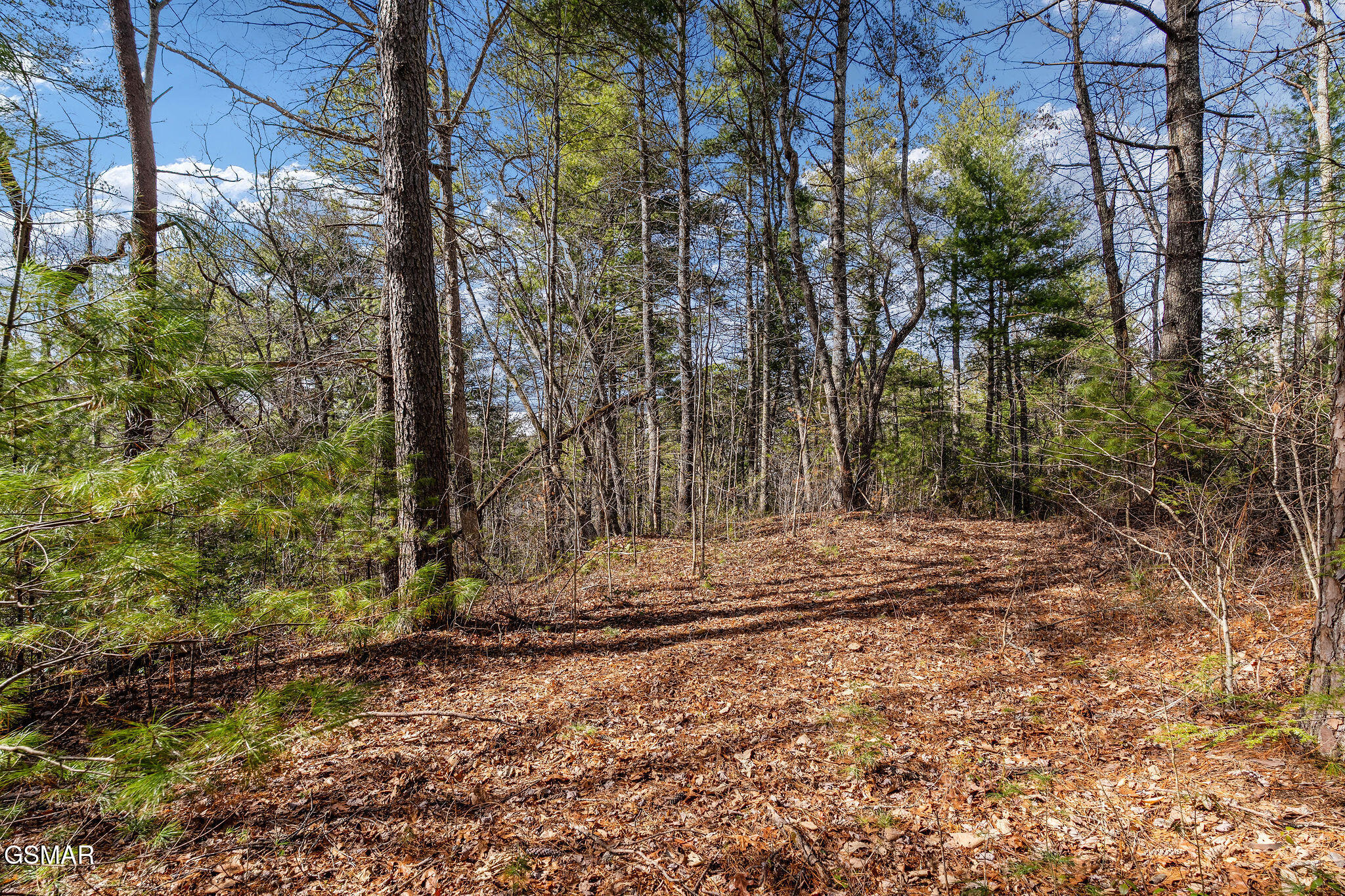 Lot 12 Paint Horse Way Sevierville TN 37876