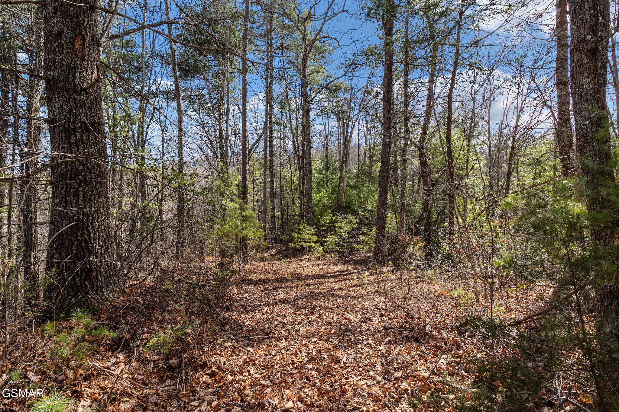 Lot 12 Paint Horse Way Sevierville TN 37876