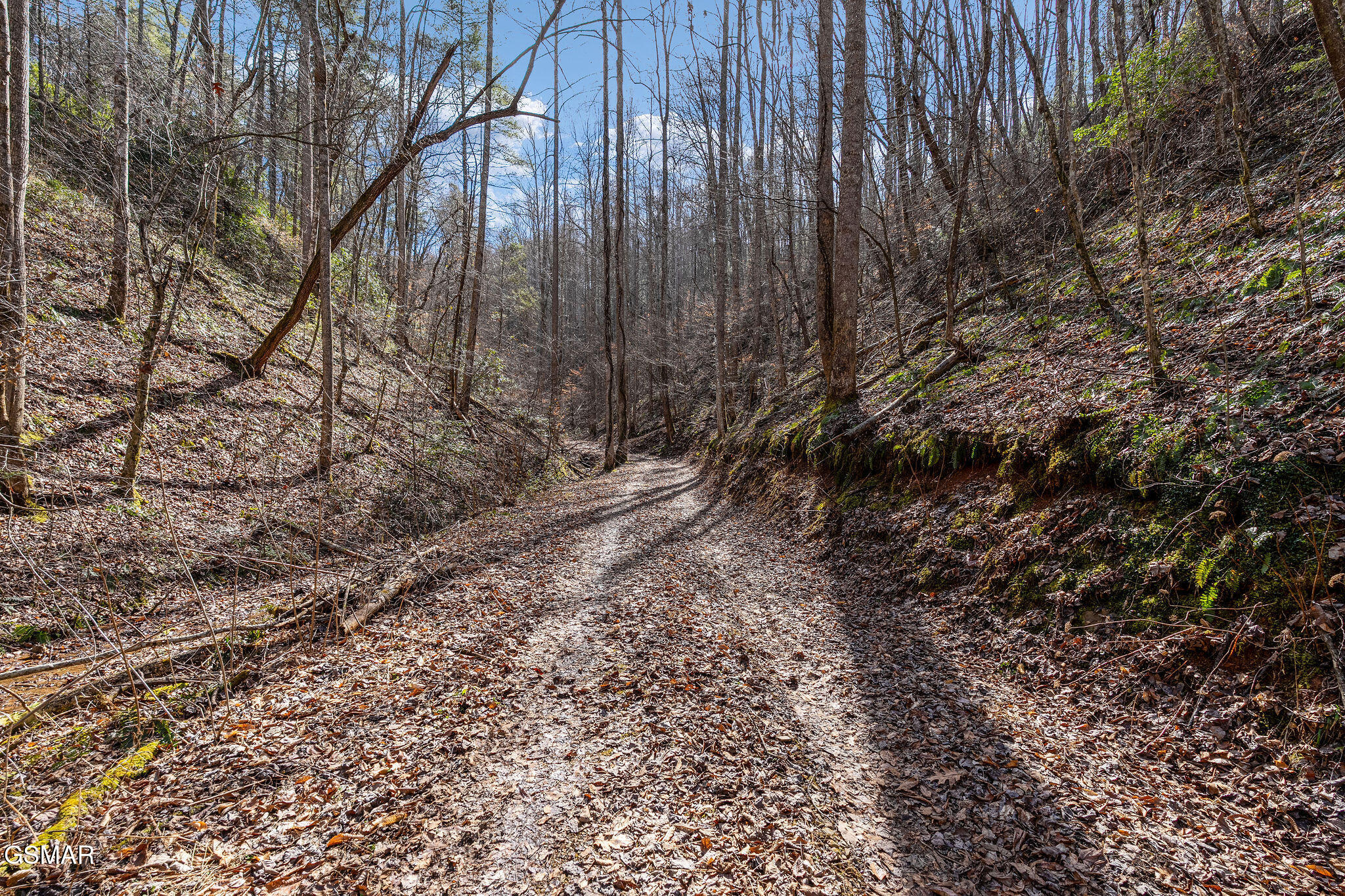Lot 12 Paint Horse Way Sevierville TN 37876