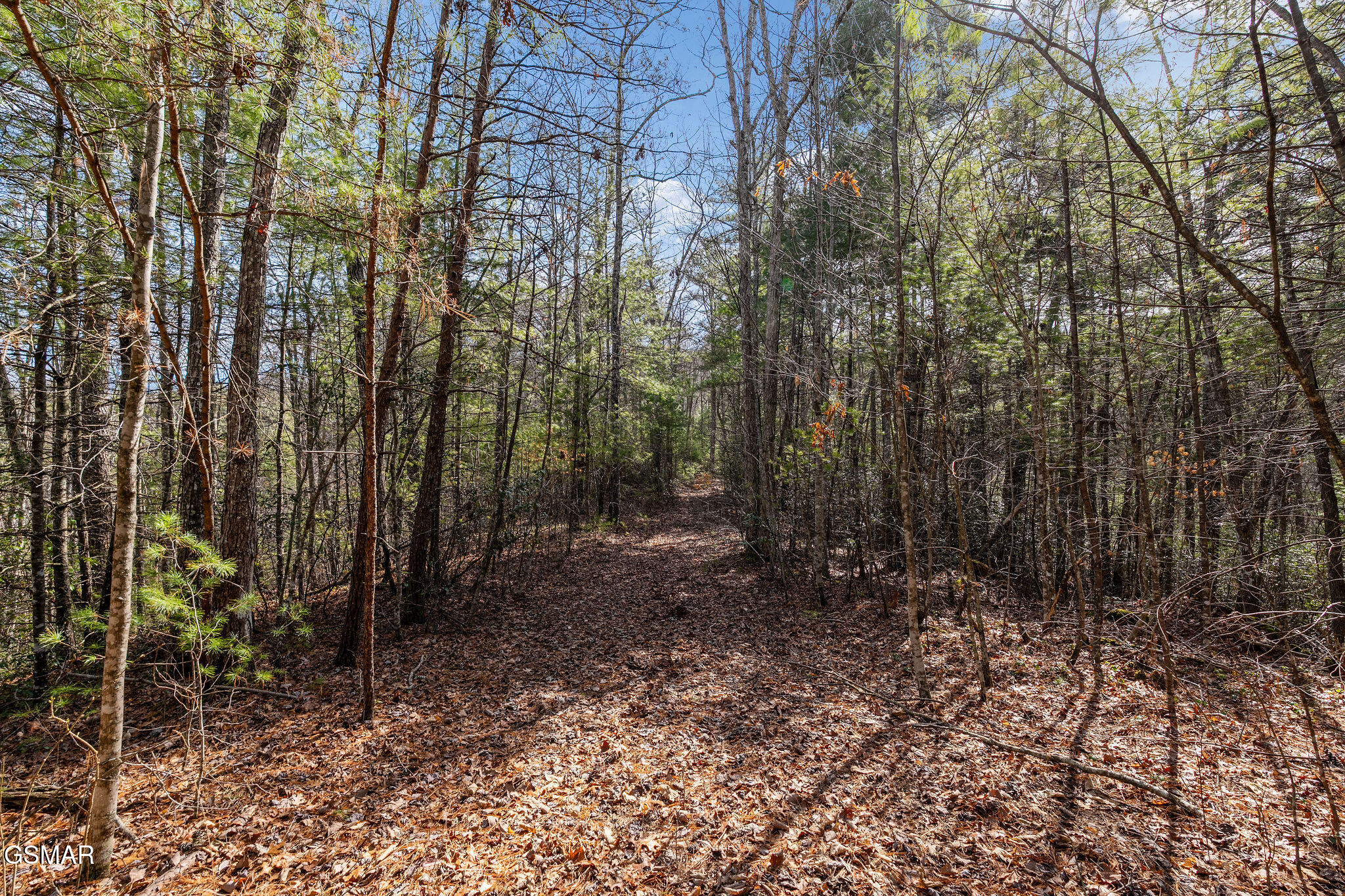 Lot 12 Paint Horse Way Sevierville TN 37876