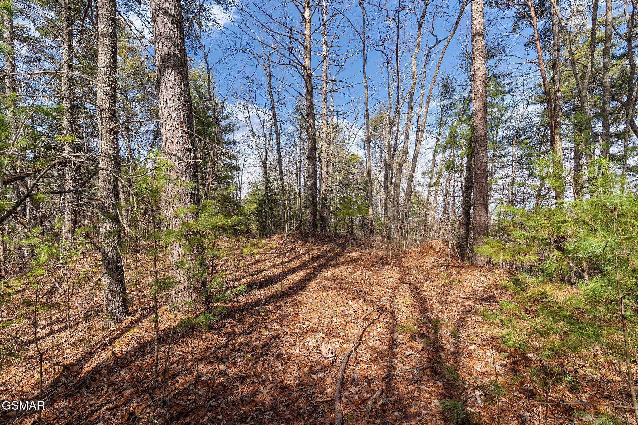Lot 12 Paint Horse Way Sevierville TN 37876