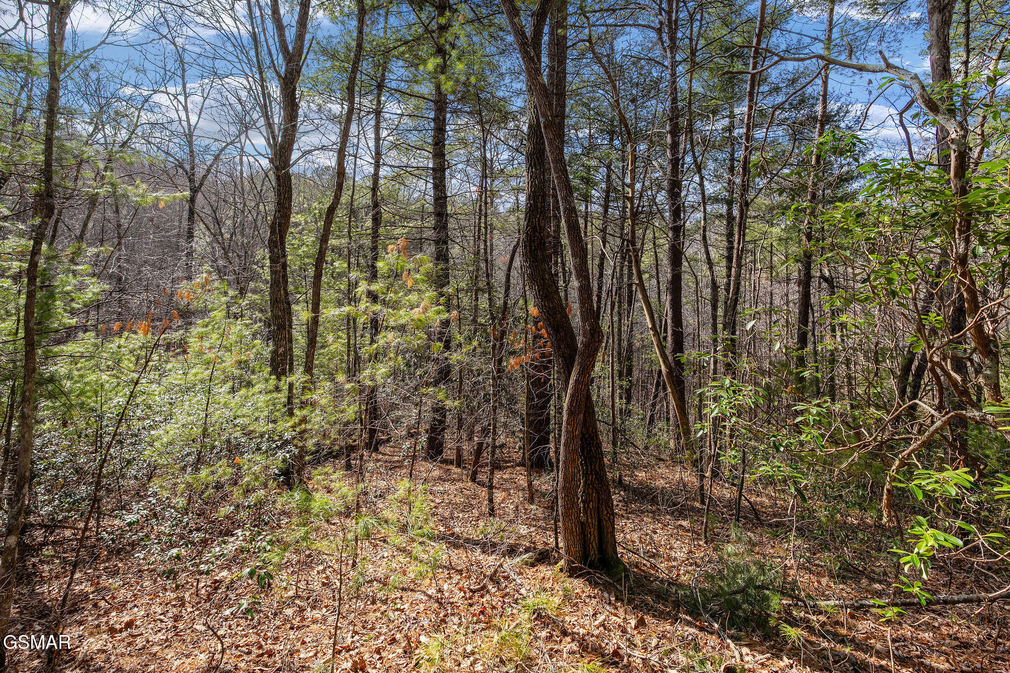 Lot 12 Paint Horse Way Sevierville TN 37876