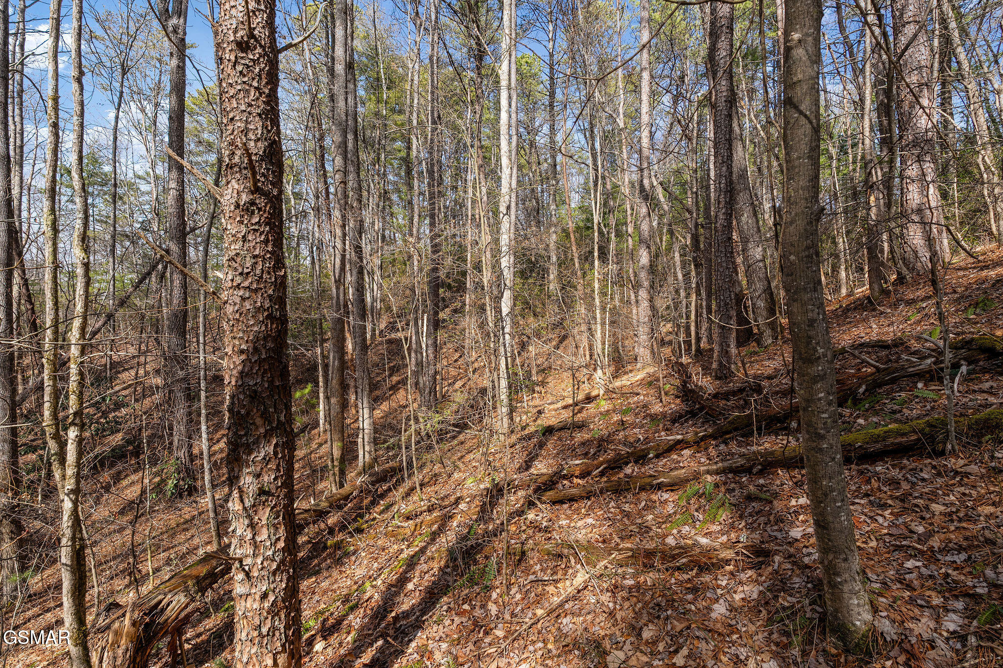 Lot 12 Paint Horse Way Sevierville TN 37876