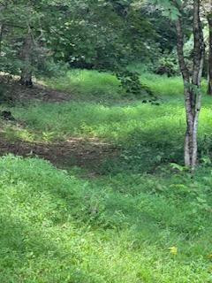 Lower Rinehart Road Dandridge TN 37725