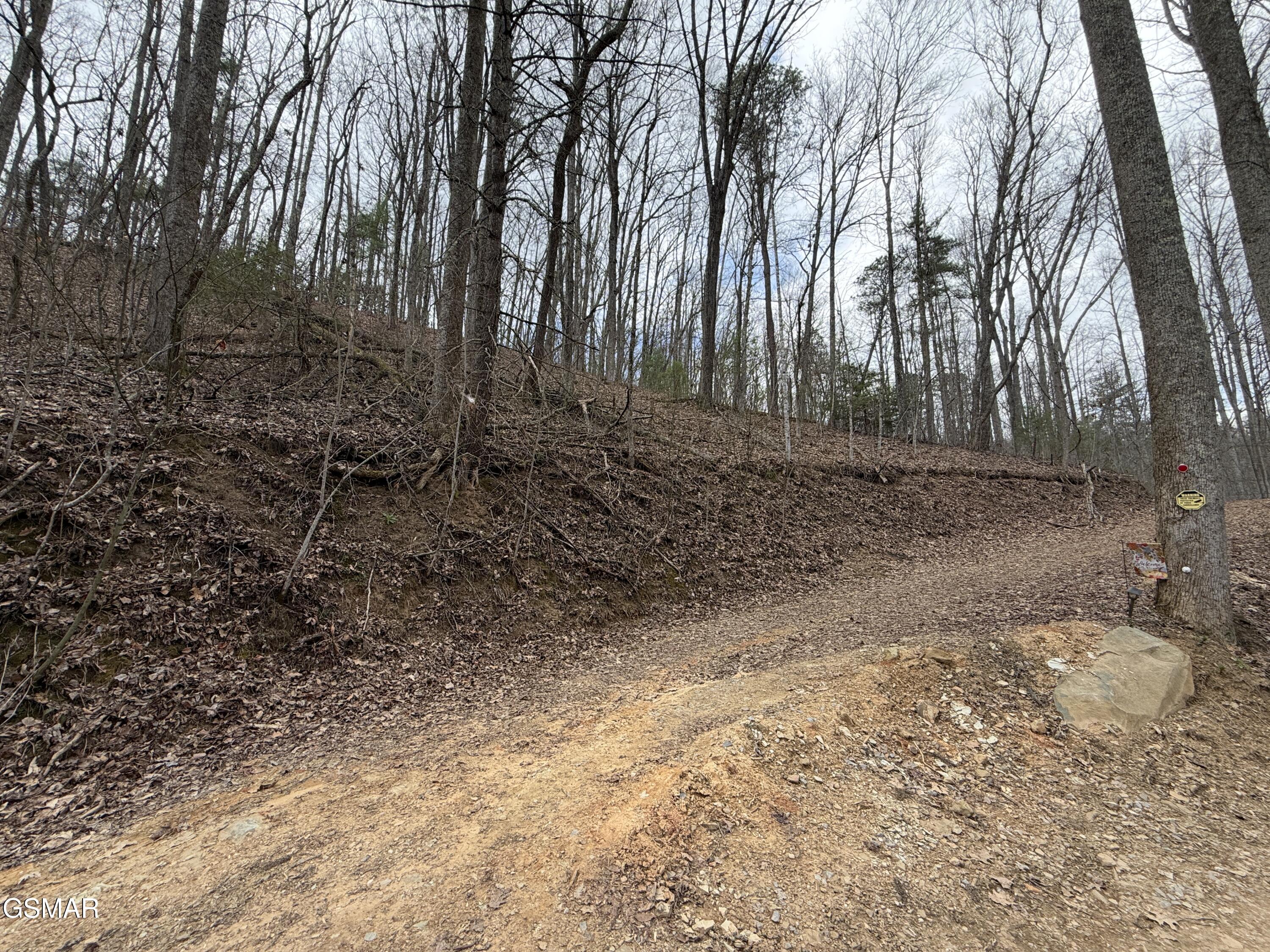 4.01 Reece Hollow Road Del Rio TN 37727