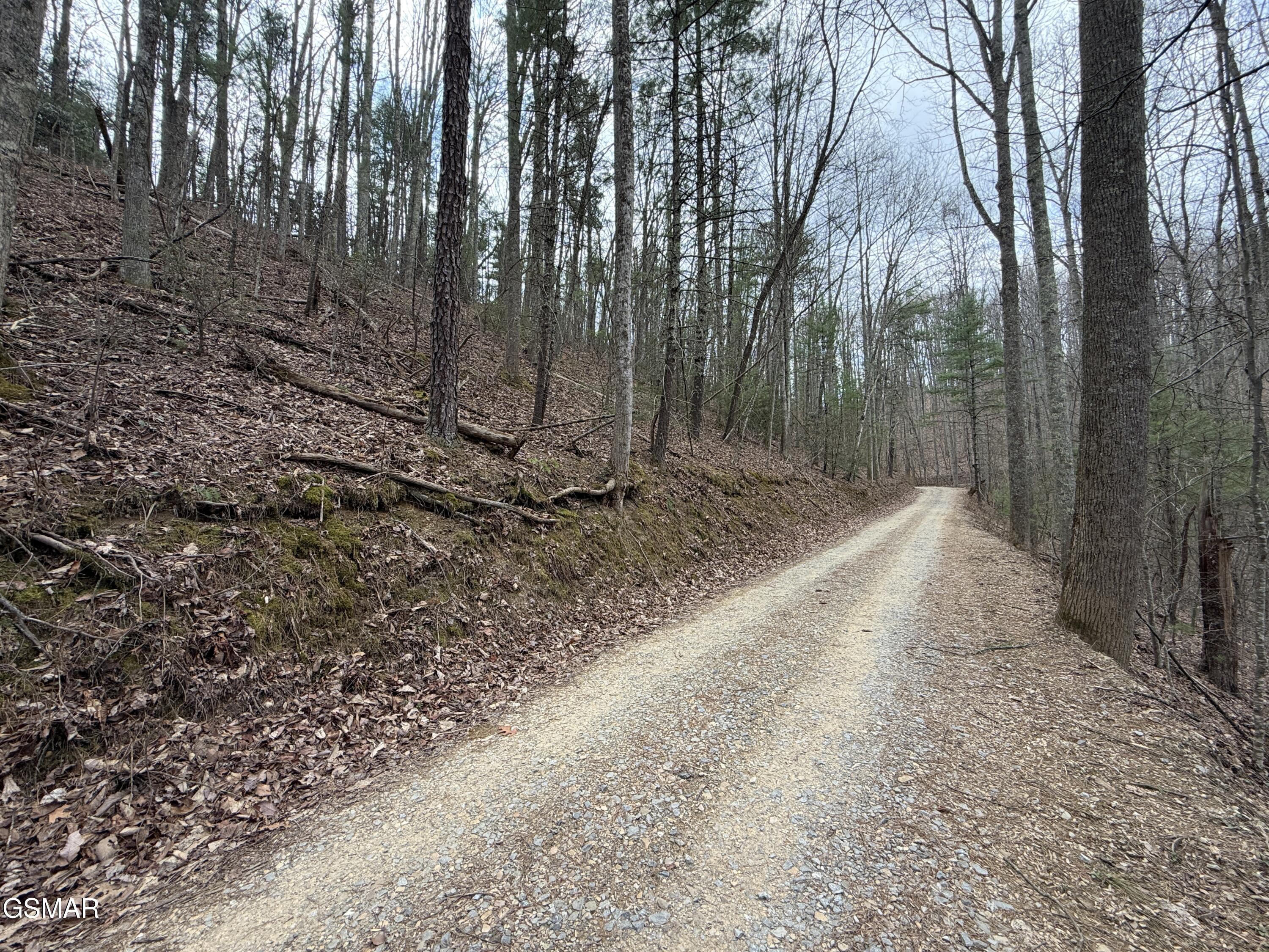 4.01 Reece Hollow Road Del Rio TN 37727
