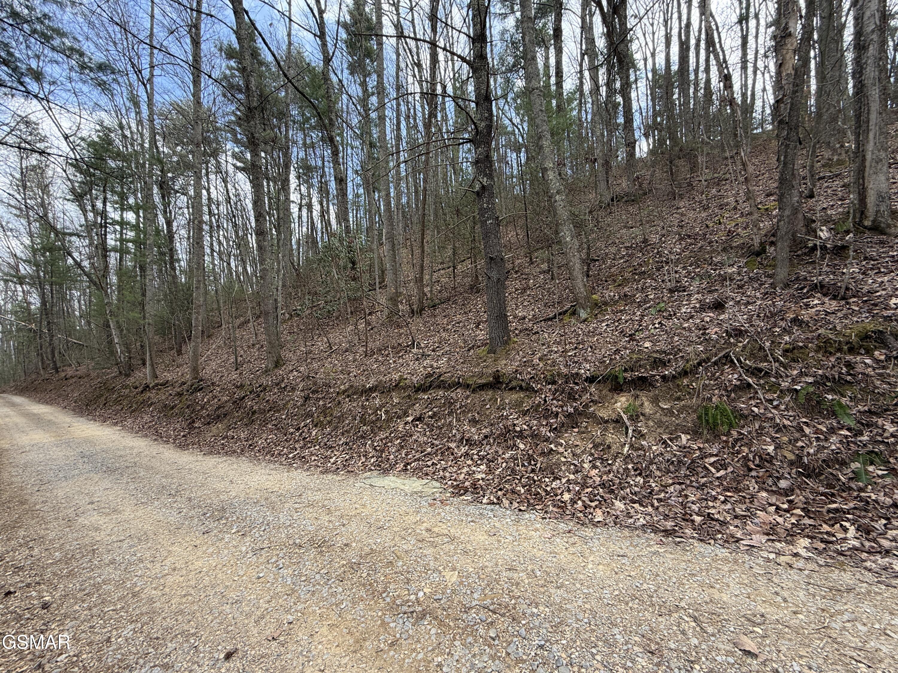 4.01 Reece Hollow Road Del Rio TN 37727