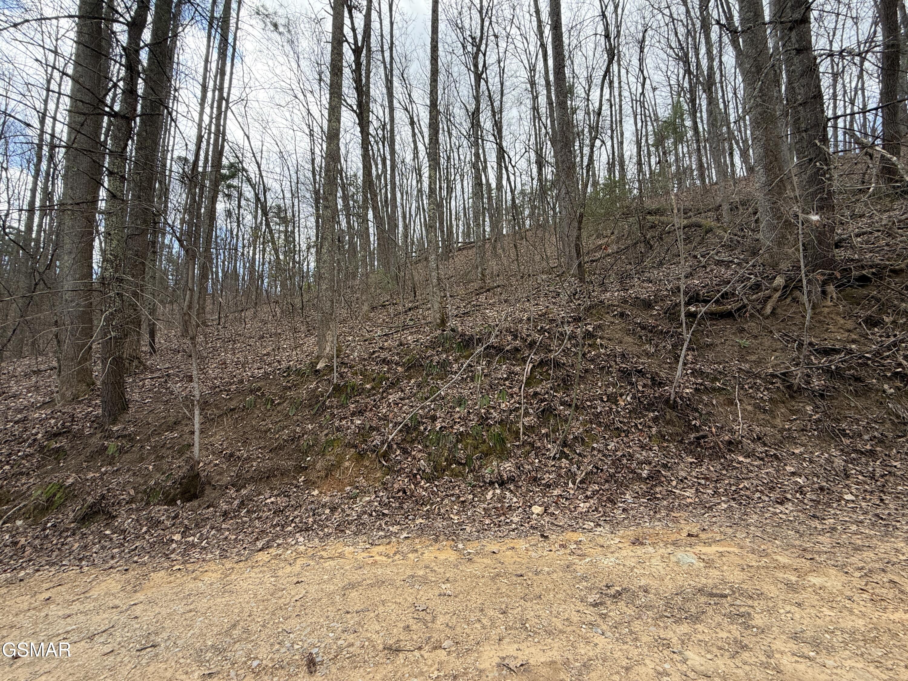 4.01 Reece Hollow Road Del Rio TN 37727
