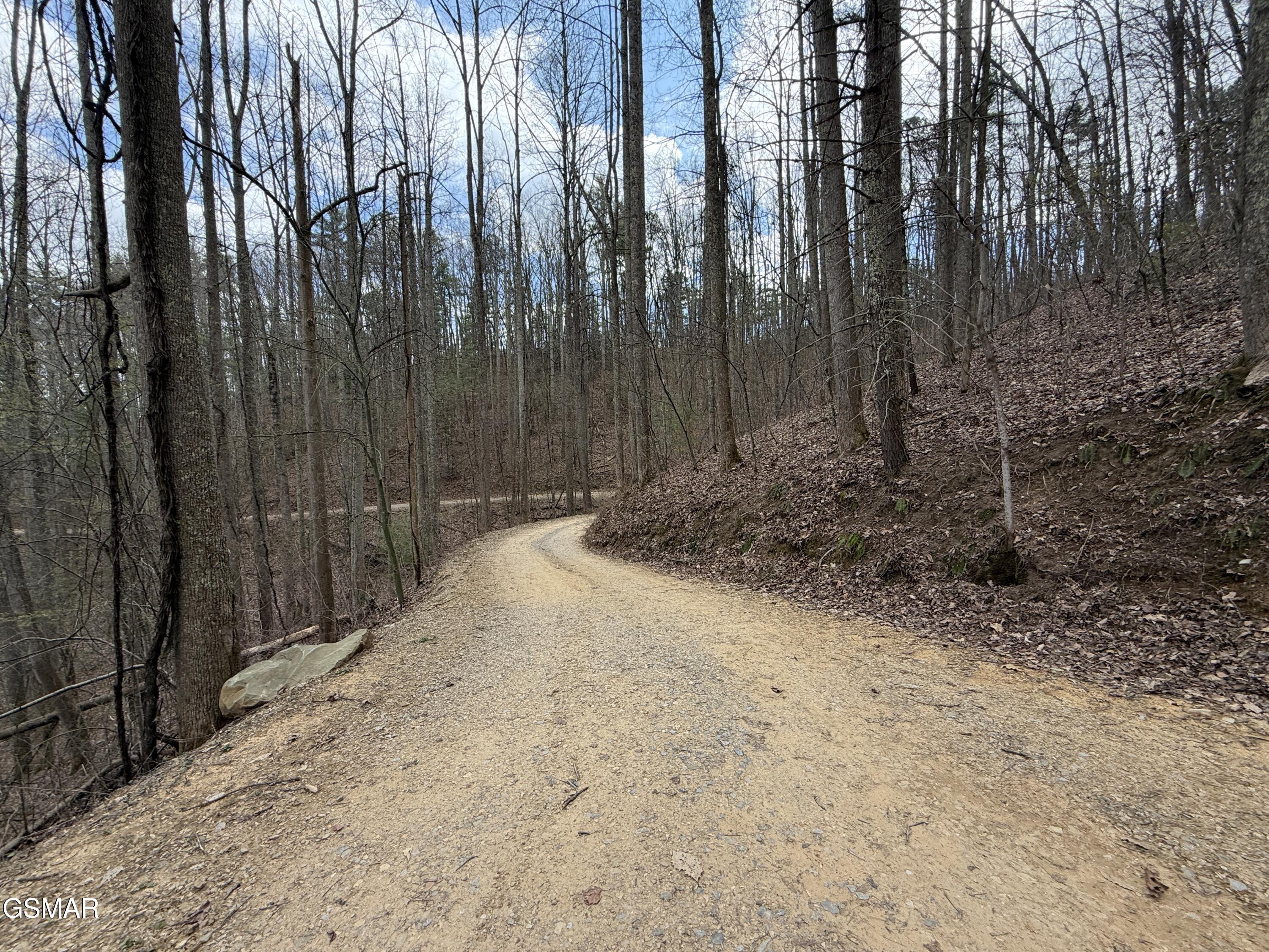 4.01 Reece Hollow Road Del Rio TN 37727