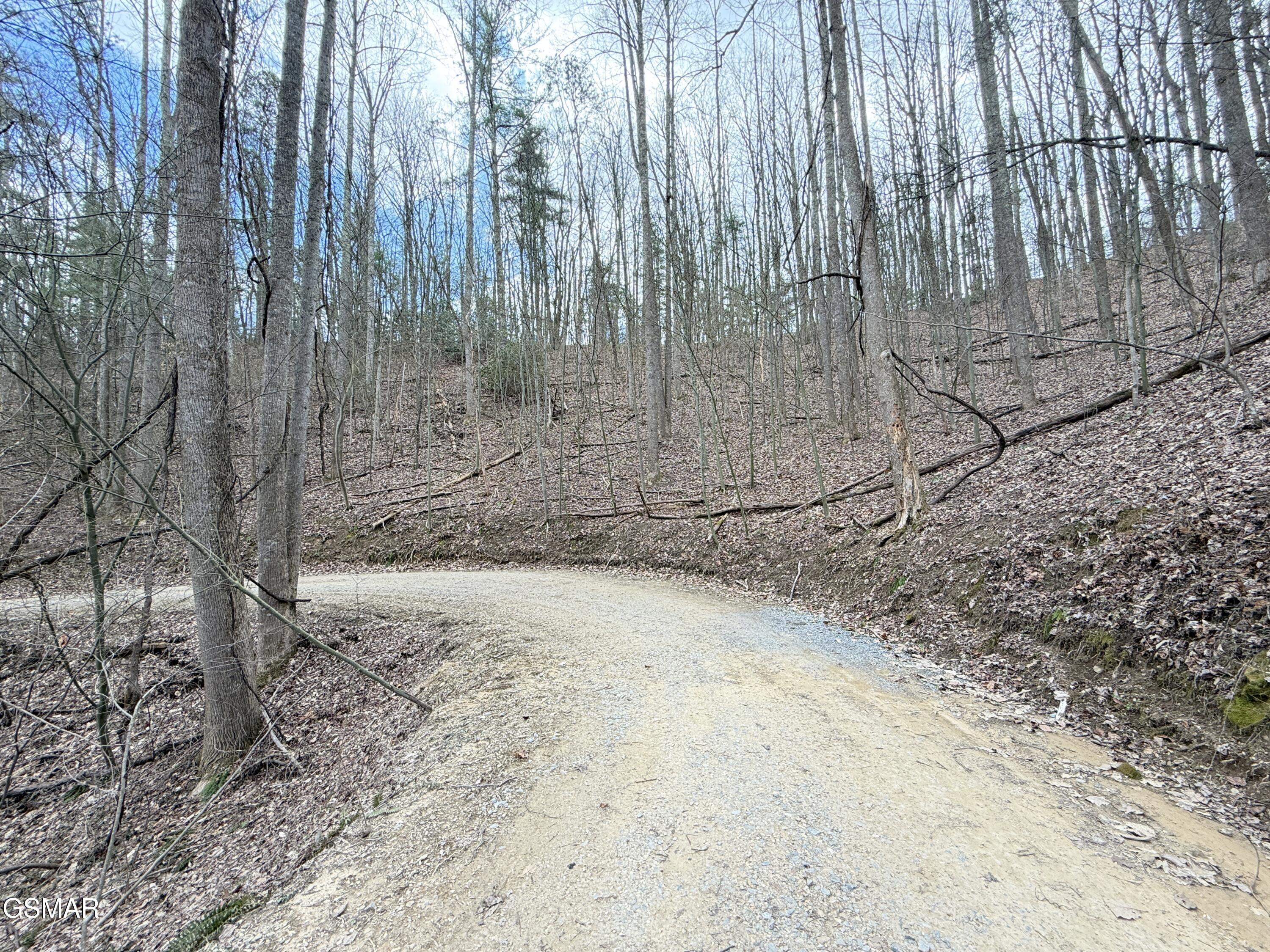 4.01 Reece Hollow Road Del Rio TN 37727