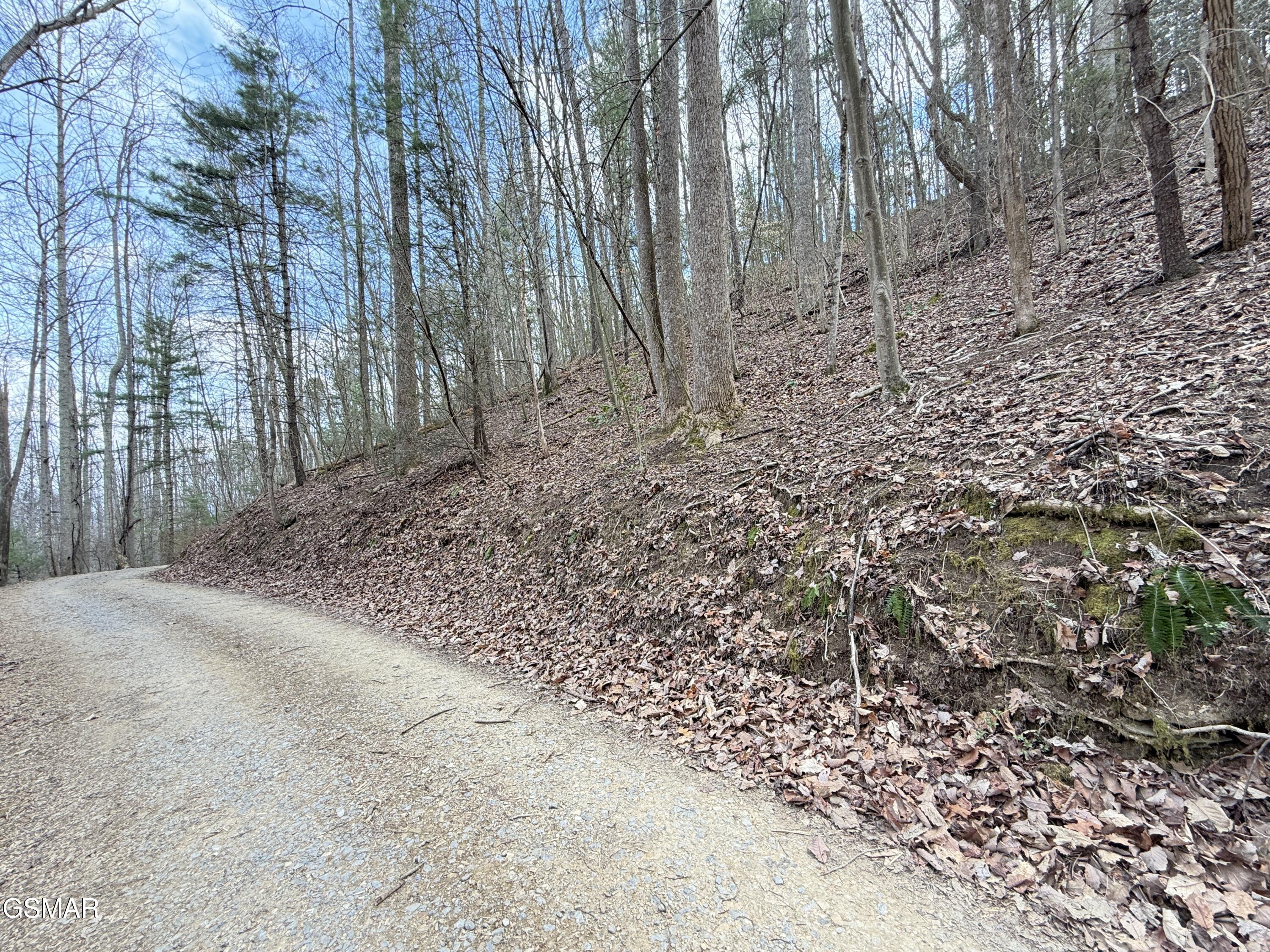 4.01 Reece Hollow Road Del Rio TN 37727