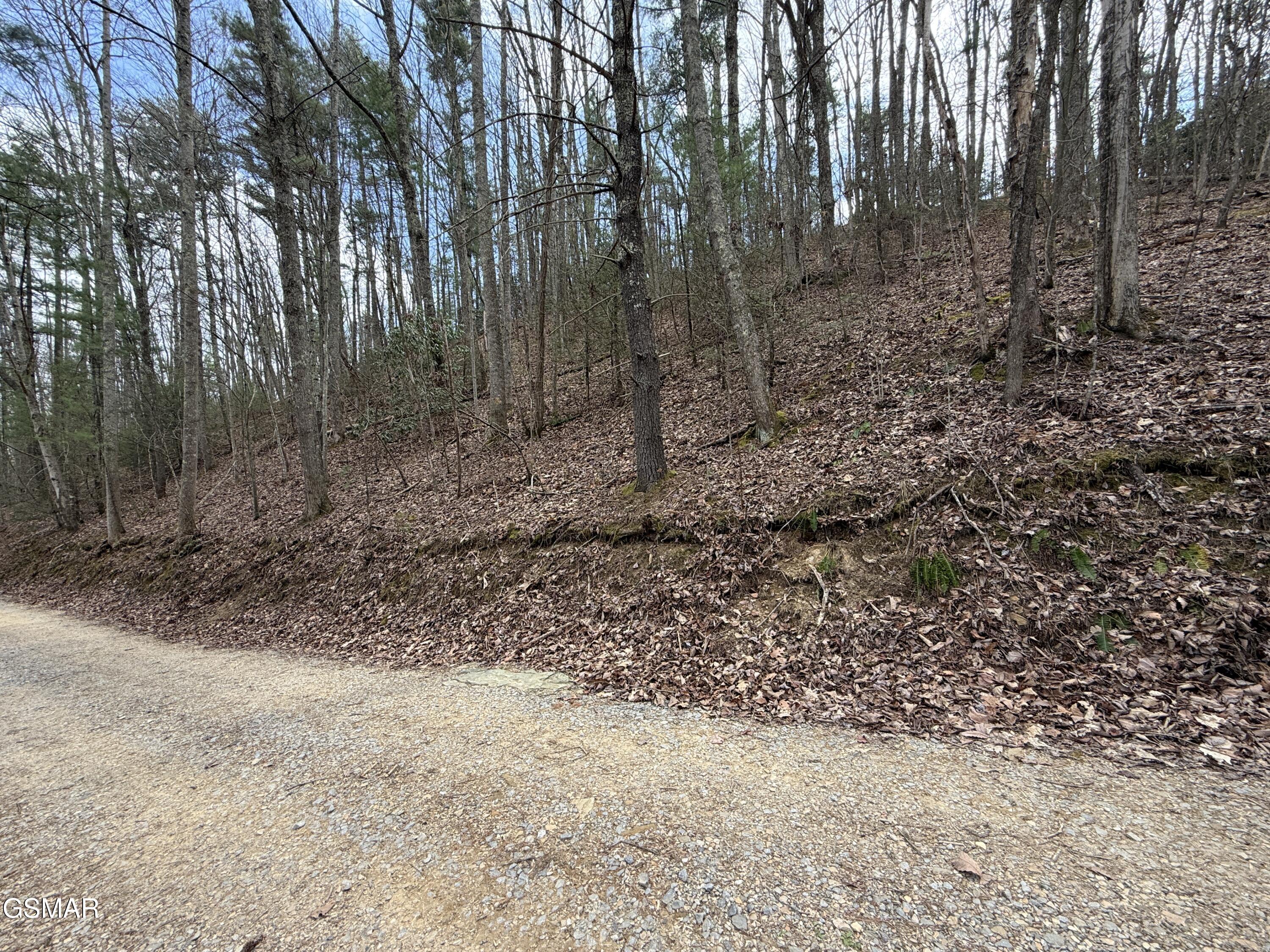 4.01 Reece Hollow Road Del Rio TN 37727