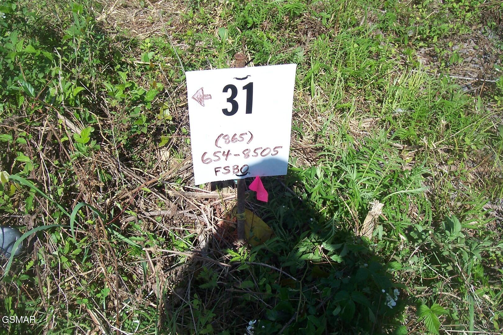 Lot 29 Splendor Way Parrottsville TN 37843
