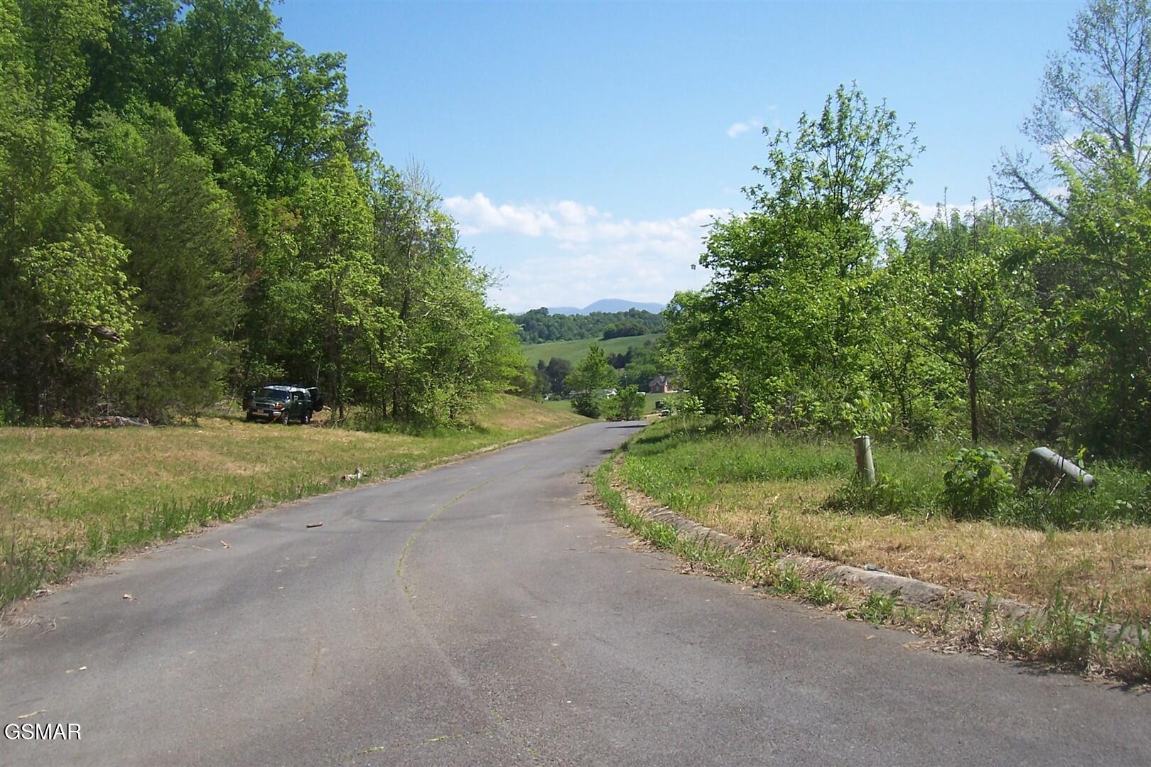 Lot 29 Splendor Way Parrottsville TN 37843