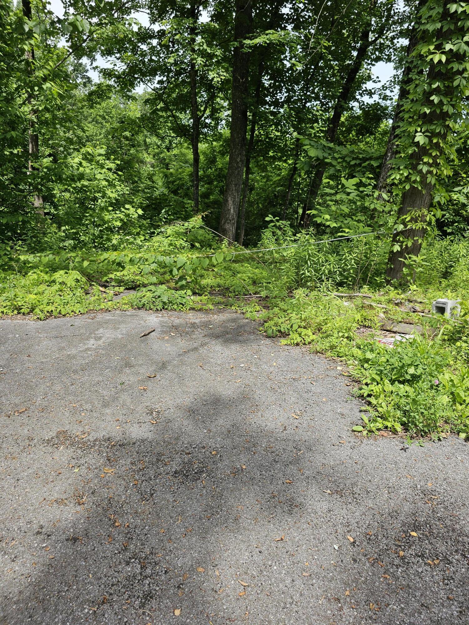 535 Forest Springs Drive Gatlinburg TN 37738