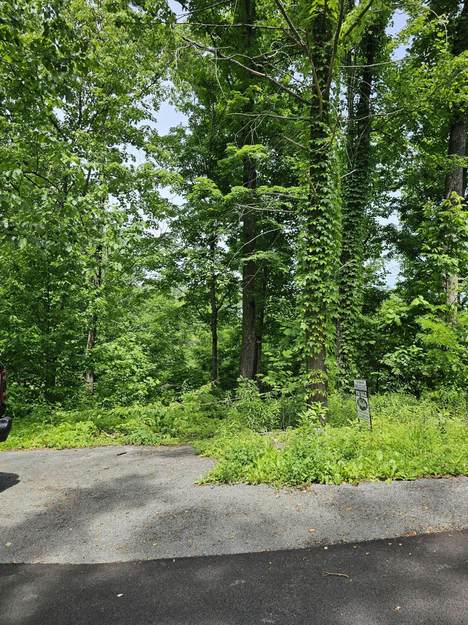 535 Forest Springs Drive Gatlinburg TN 37738