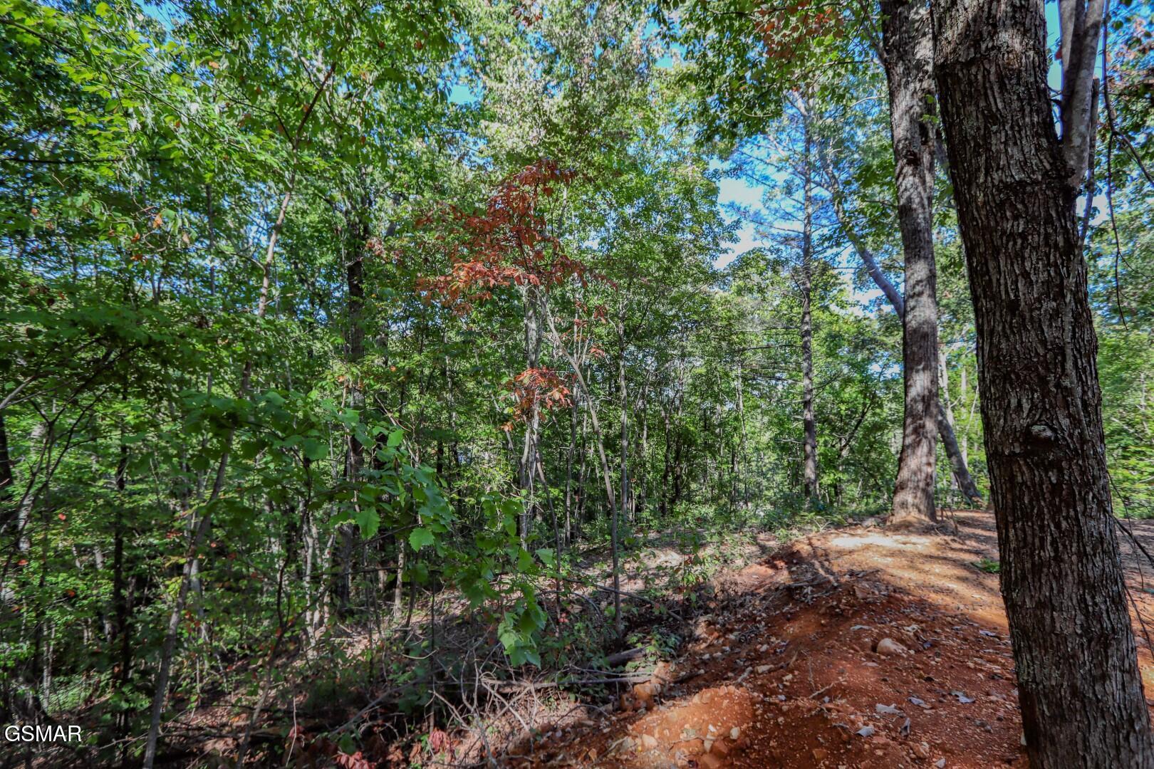 133 Huffman Way Newport TN 37821