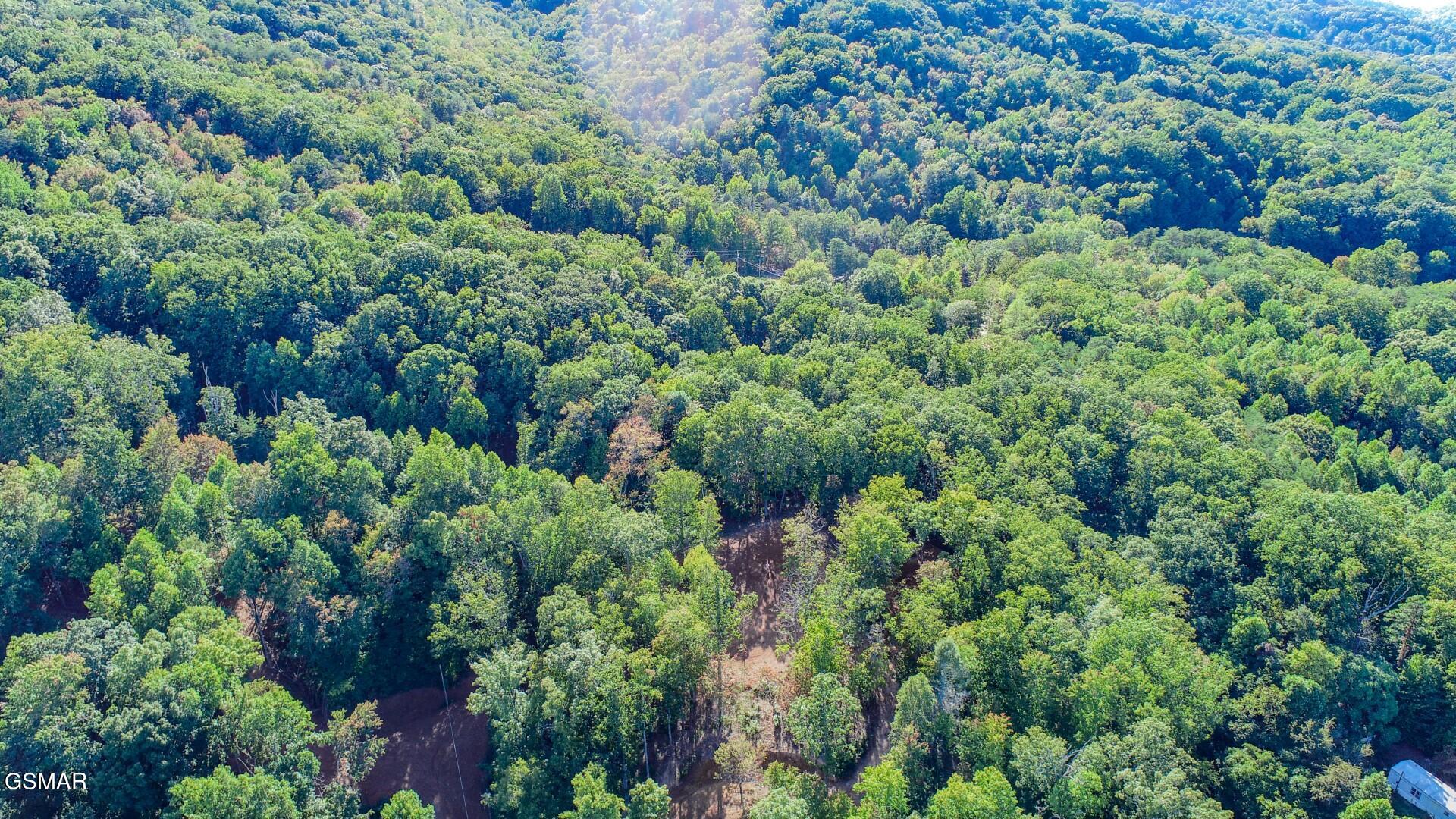 133 Huffman Way Newport TN 37821