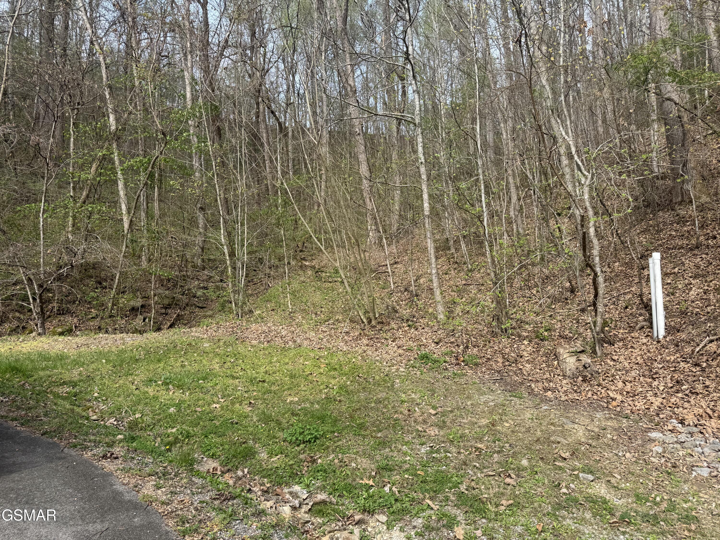 Lot 12 Whetstone Road Sevierville TN 37862