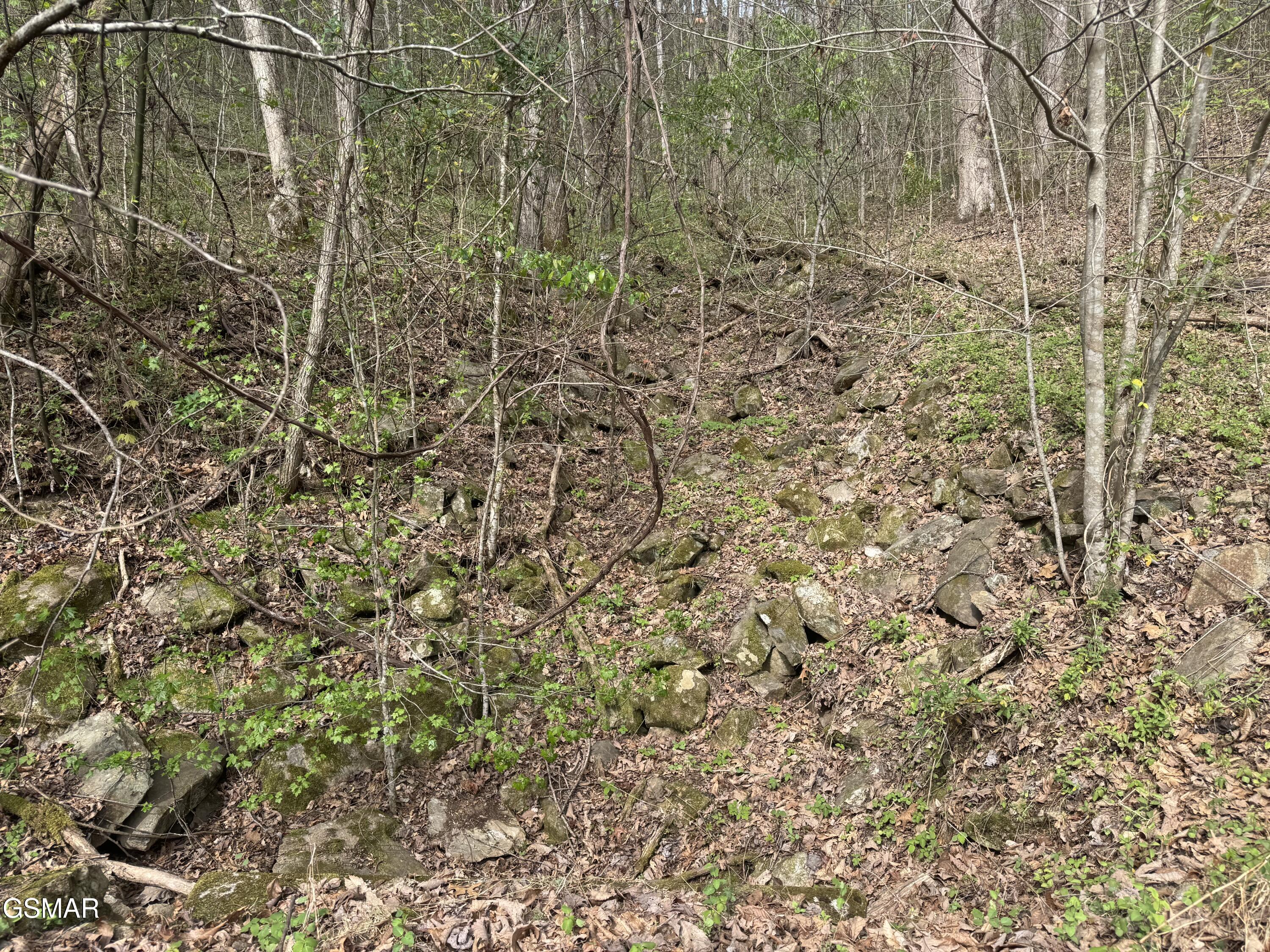 Lot 12 Whetstone Road Sevierville TN 37862