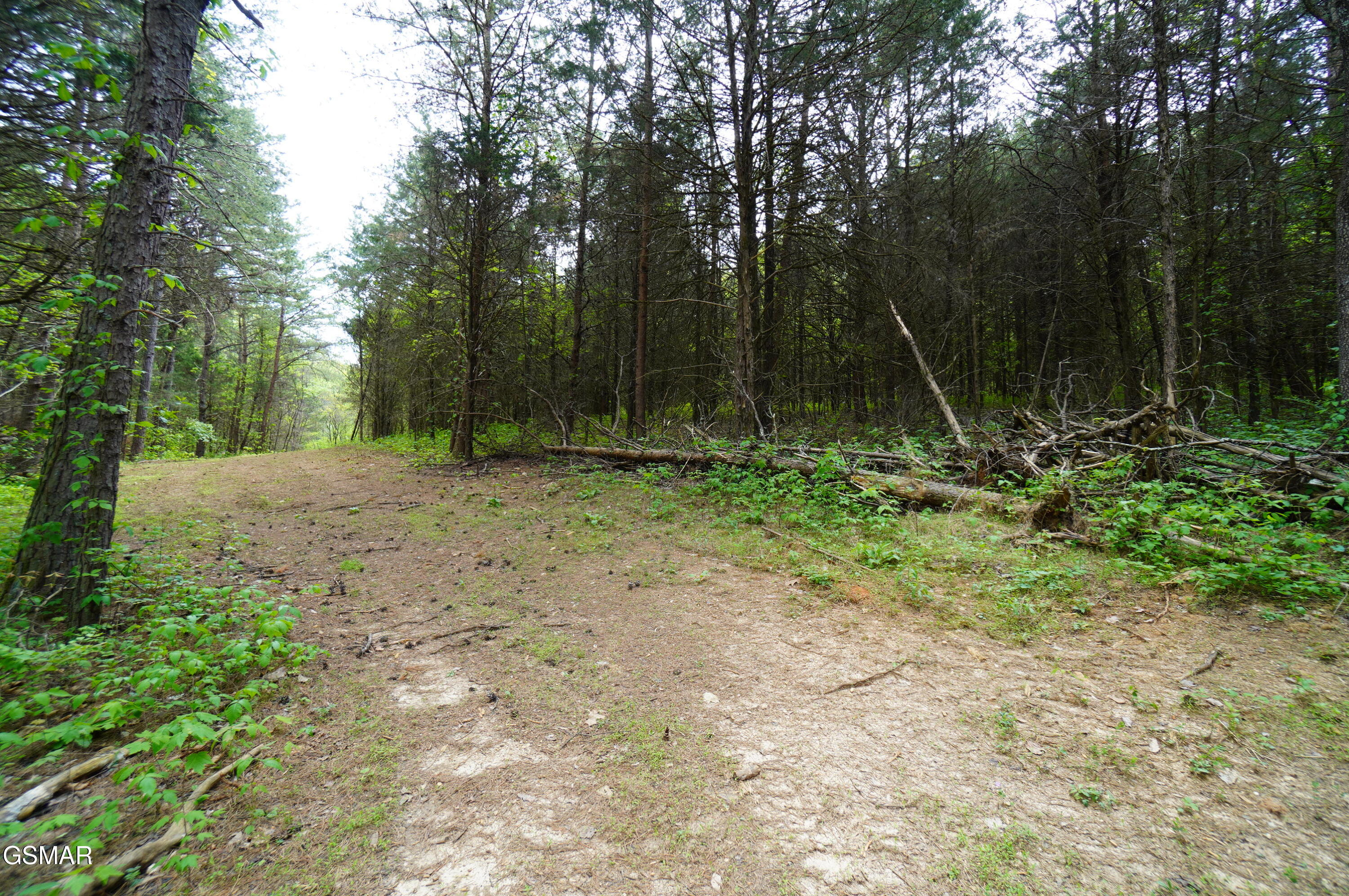Tract 19 Pleasant View Cemetery Road New Market TN 37820