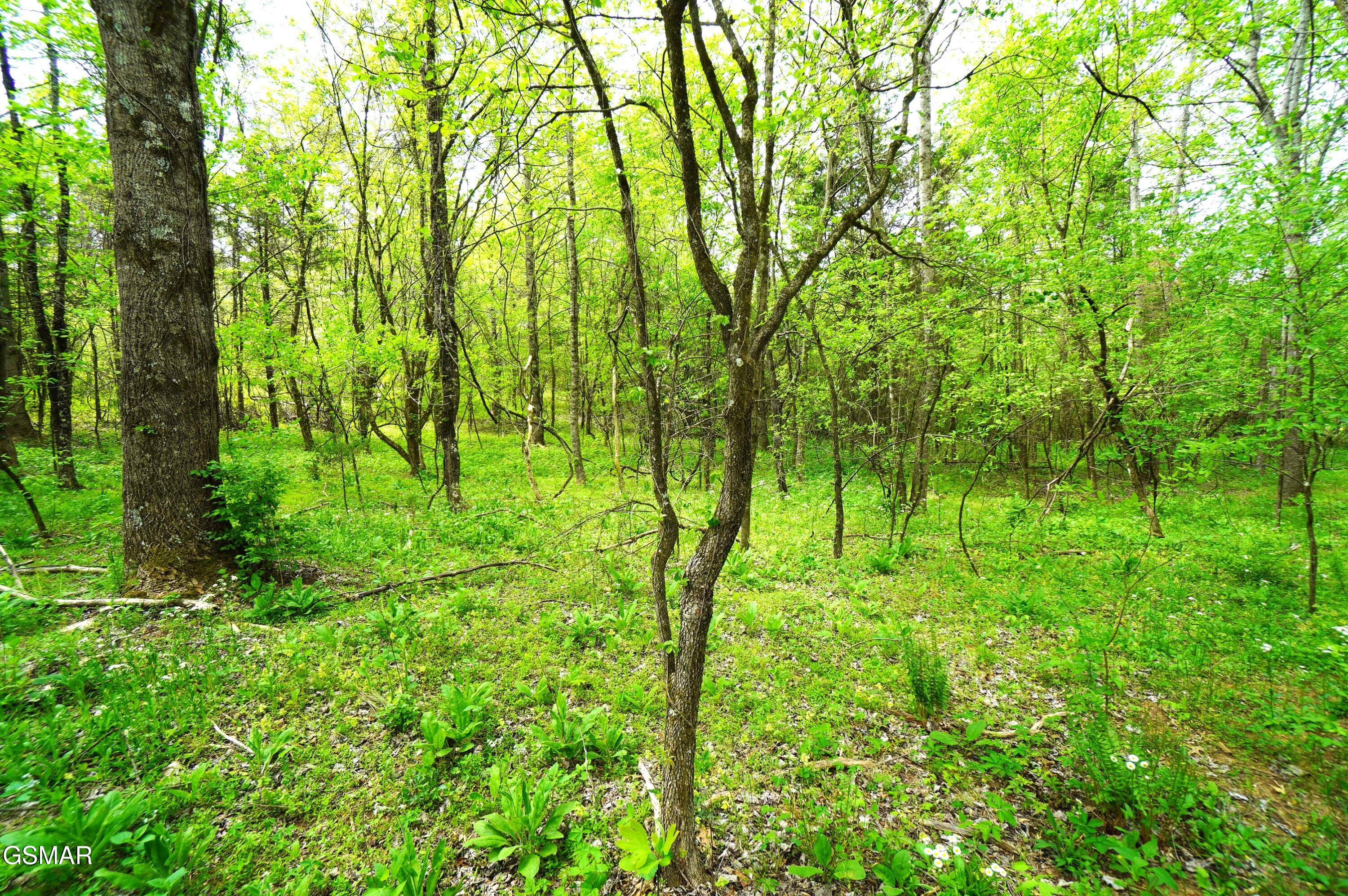 Tract 19 Pleasant View Cemetery Road New Market TN 37820