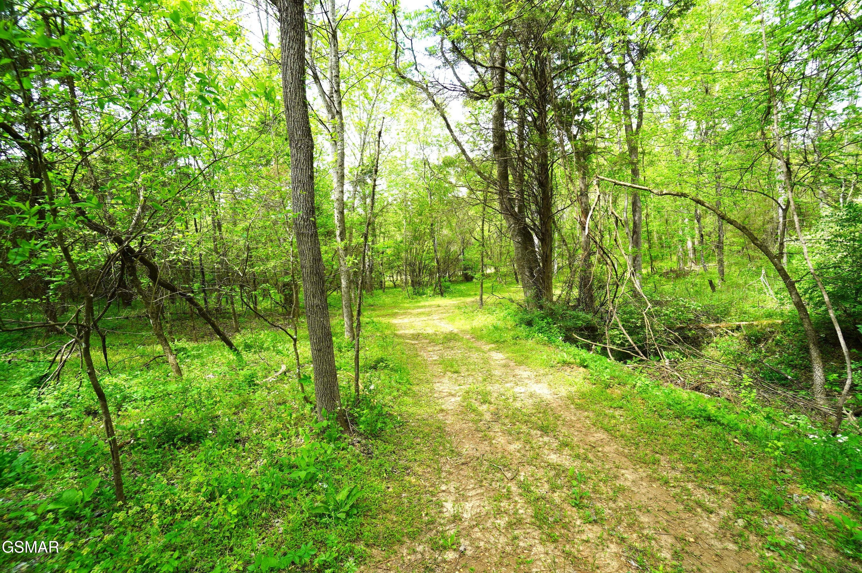 Tract 19 Pleasant View Cemetery Road New Market TN 37820