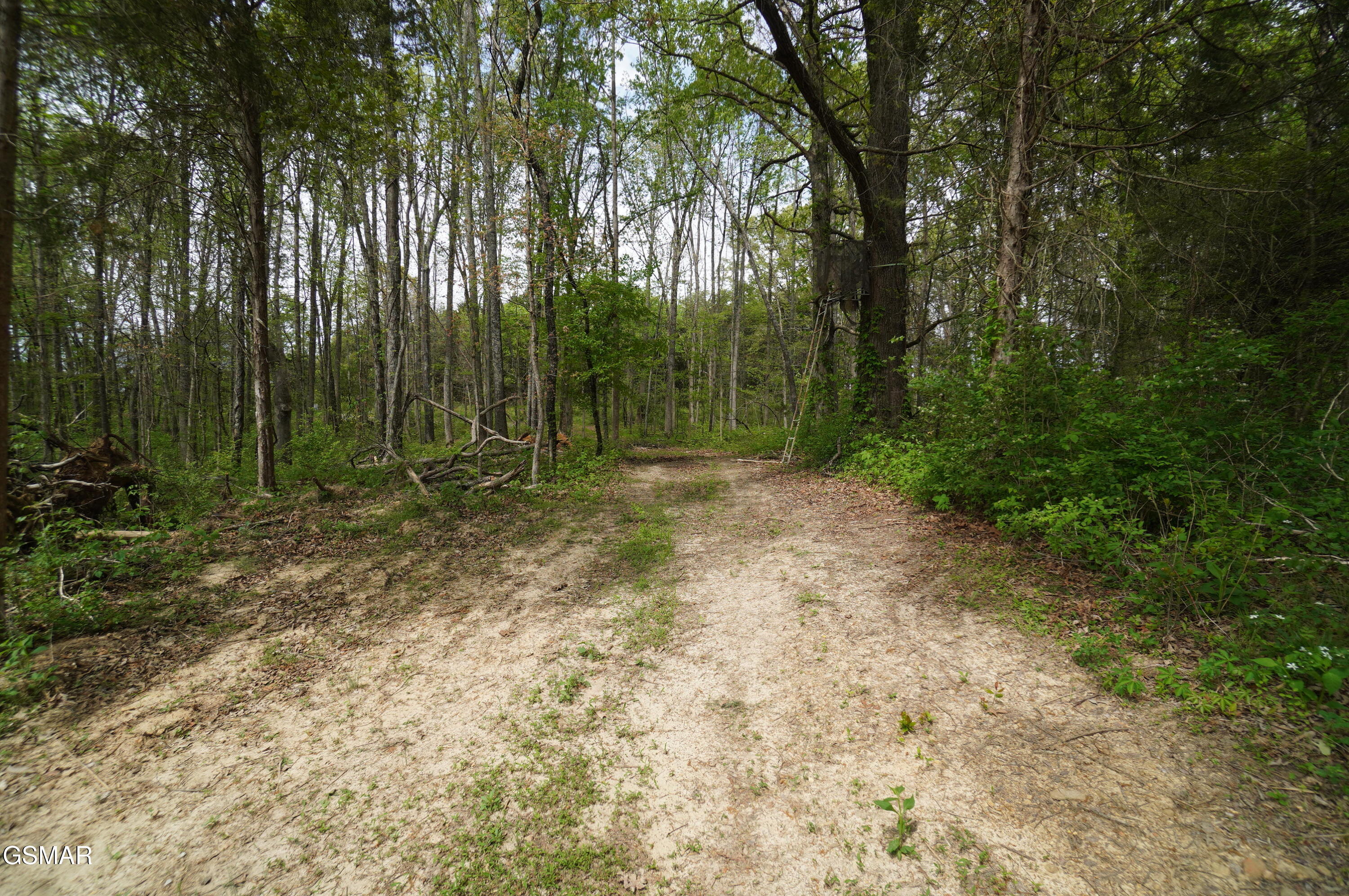 Tract 19 Pleasant View Cemetery Road New Market TN 37820