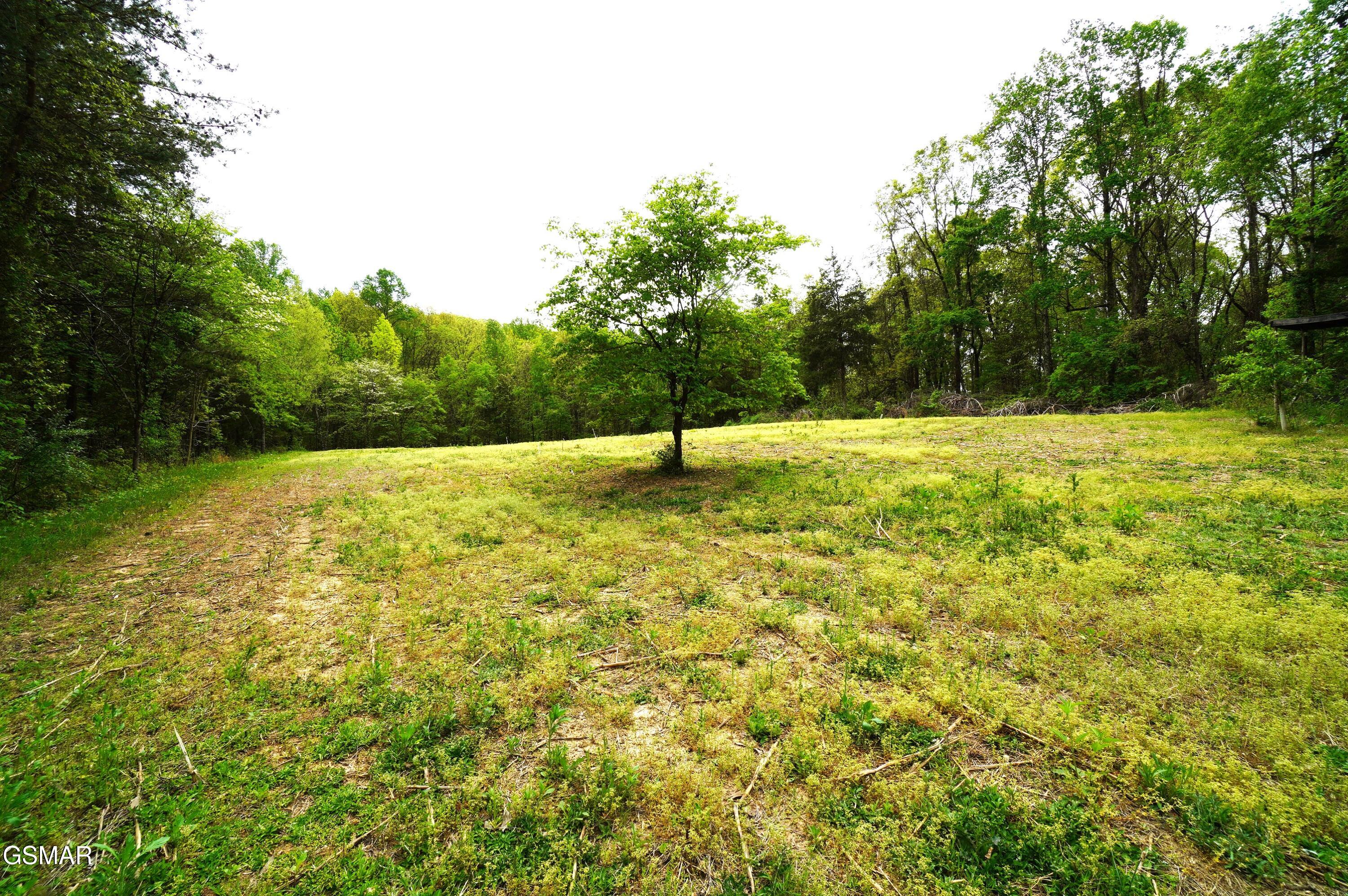 Tract 19 Pleasant View Cemetery Road New Market TN 37820