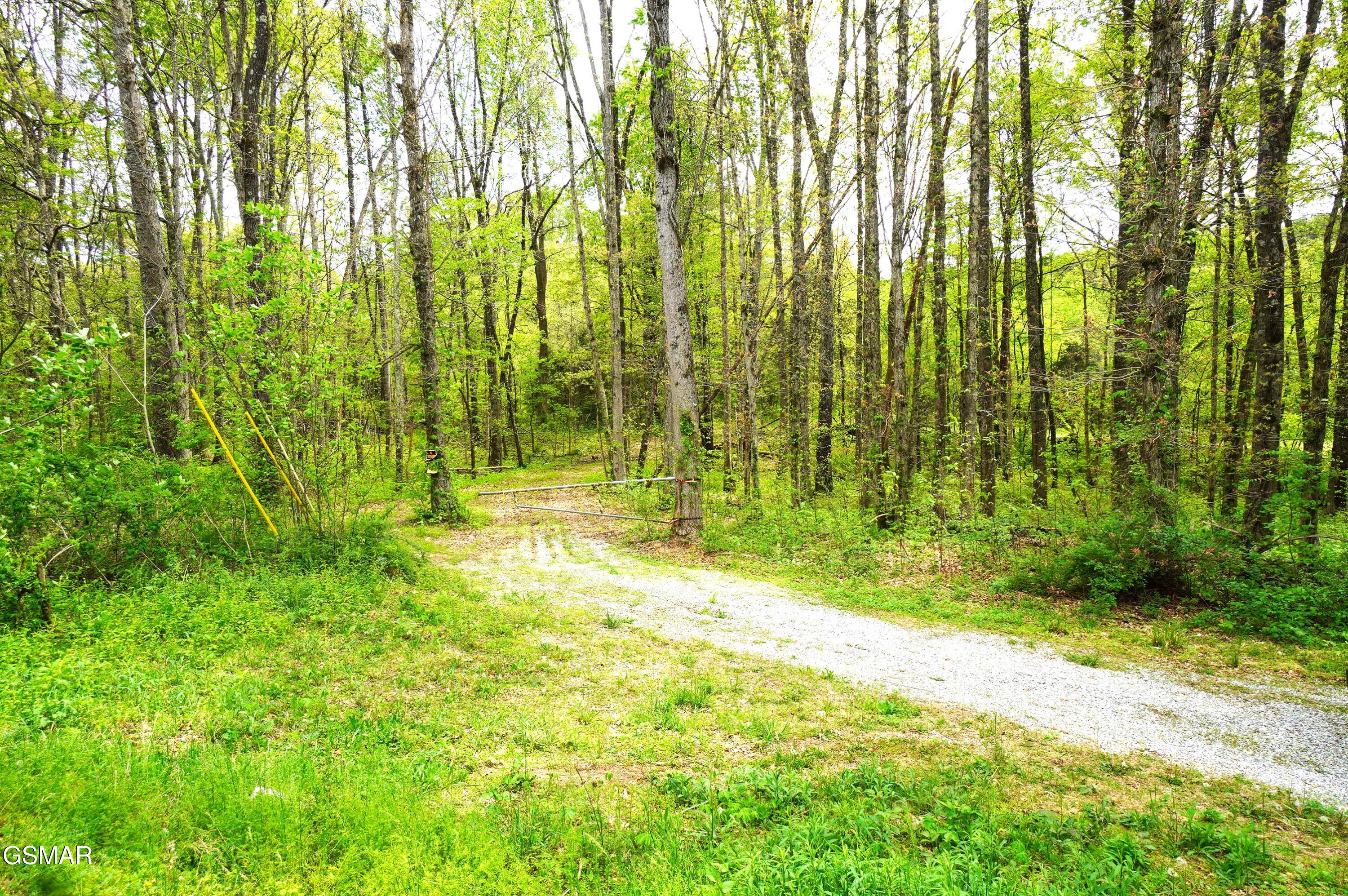 Tract 19 Pleasant View Cemetery Road New Market TN 37820
