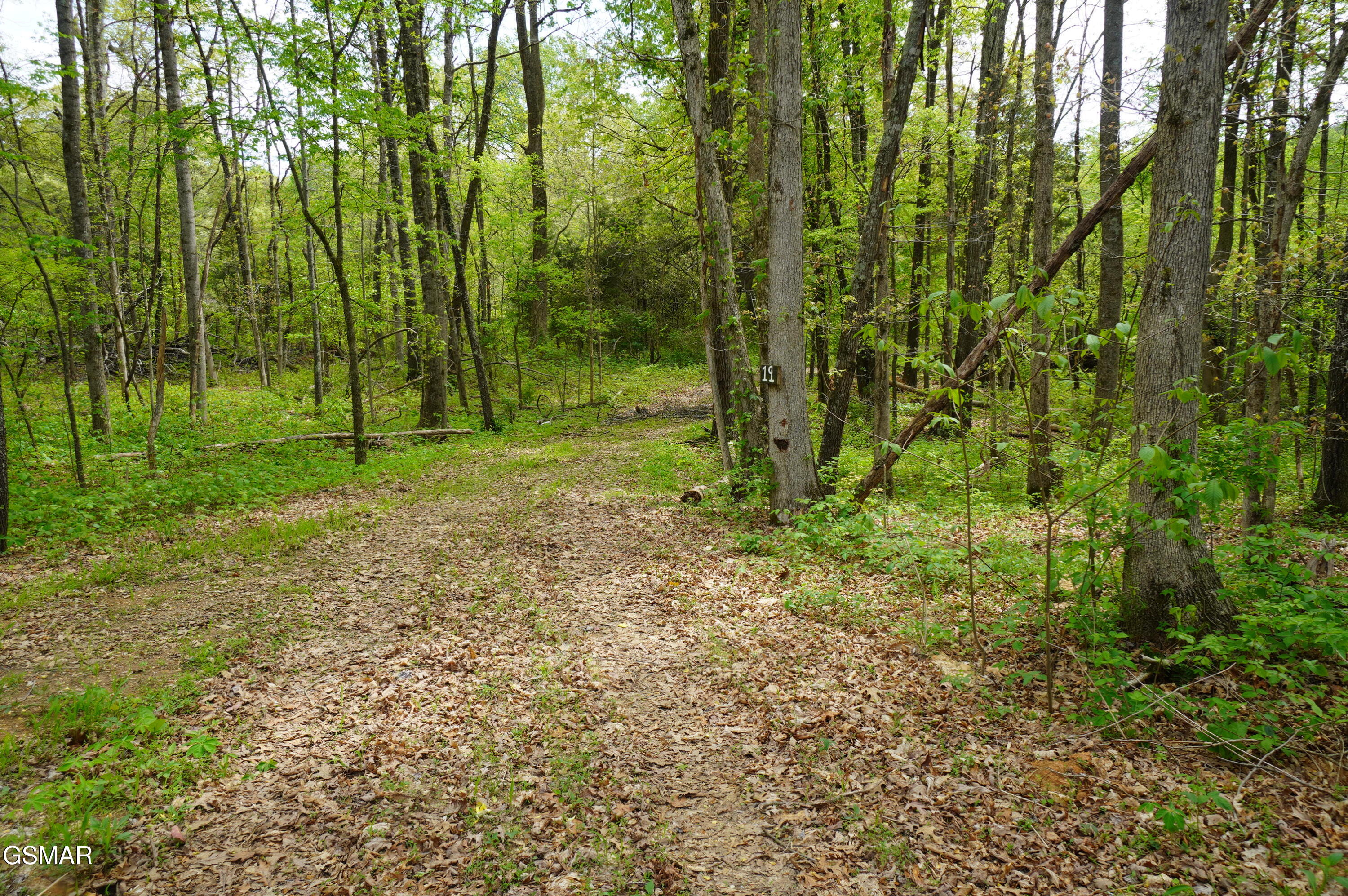 Tract 19 Pleasant View Cemetery Road New Market TN 37820