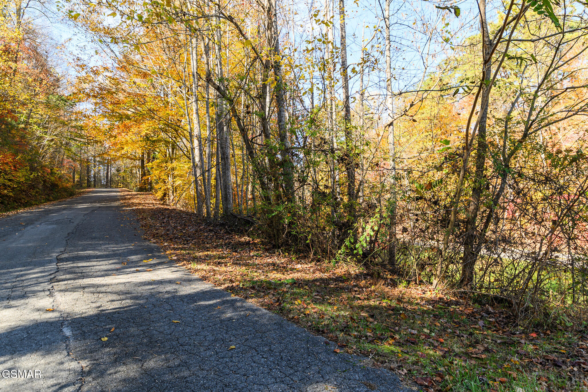 Lot 1 Jones Cove Road Cosby TN 37722