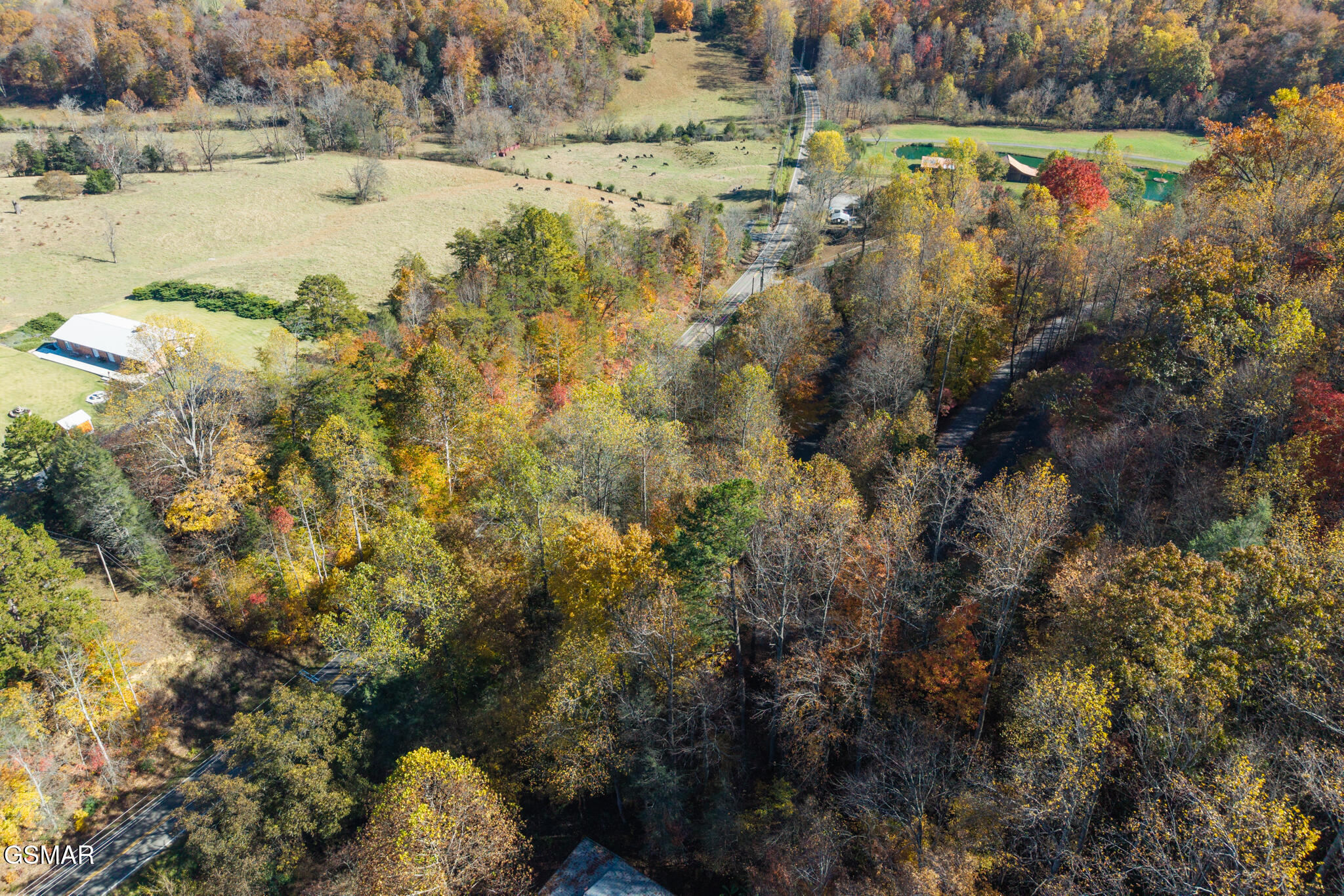 Lot 1 Jones Cove Road Cosby TN 37722