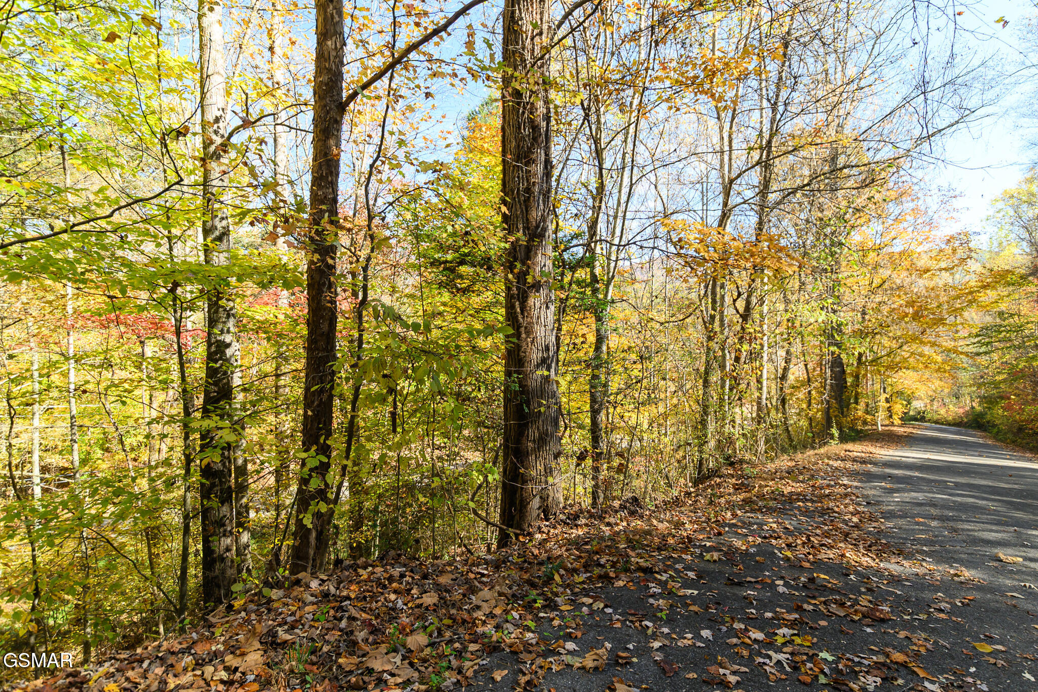 Lot 1 Jones Cove Road Cosby TN 37722