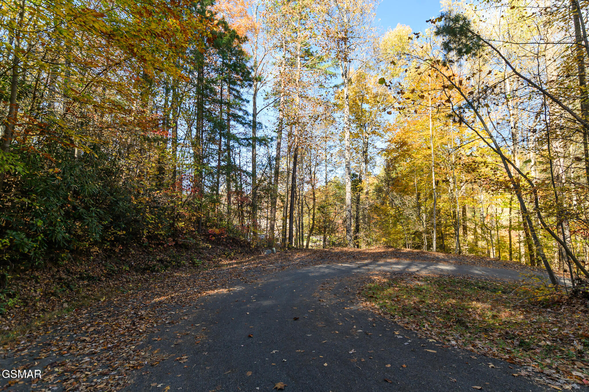 Lot 1 Jones Cove Road Cosby TN 37722