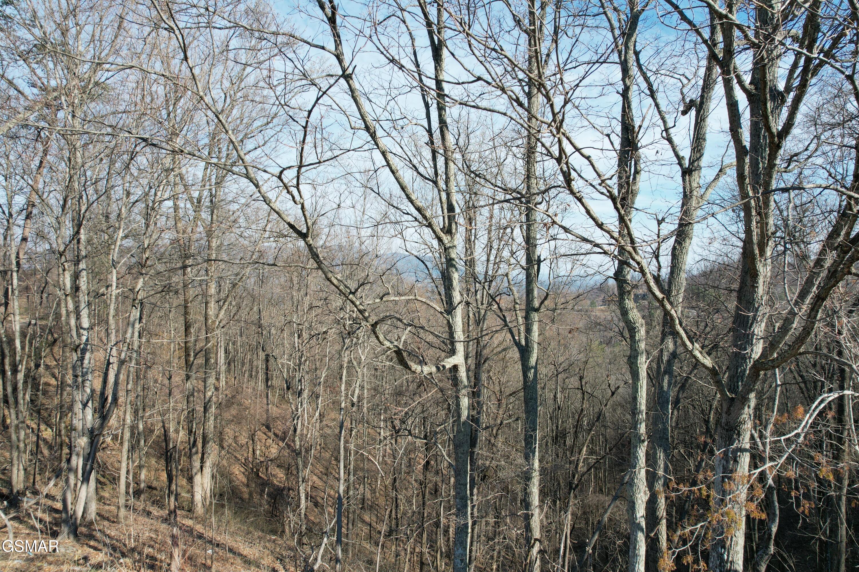 Lot 2b Spurling Way Sevierville TN 37862