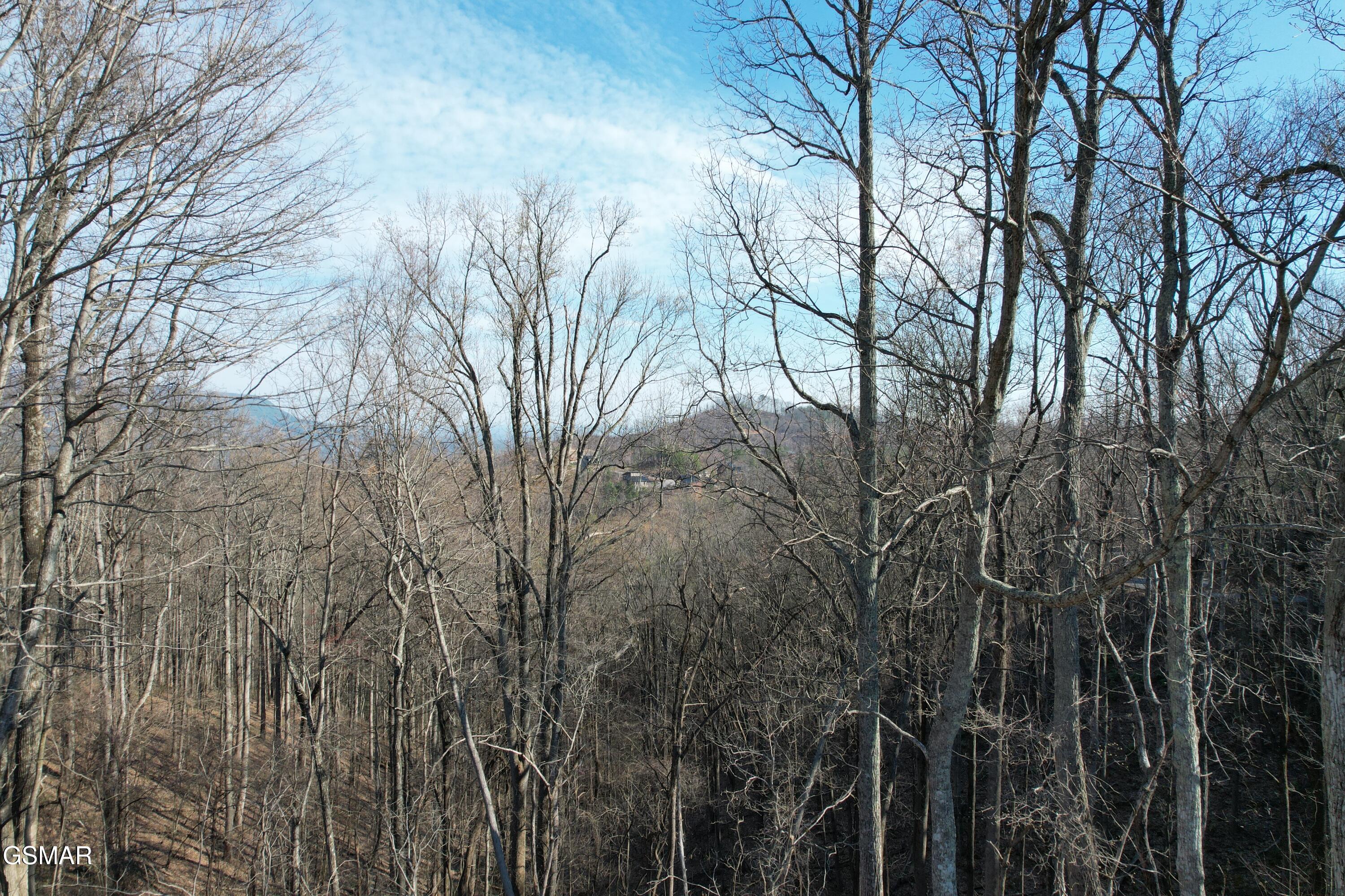 Lot 2b Spurling Way Sevierville TN 37862