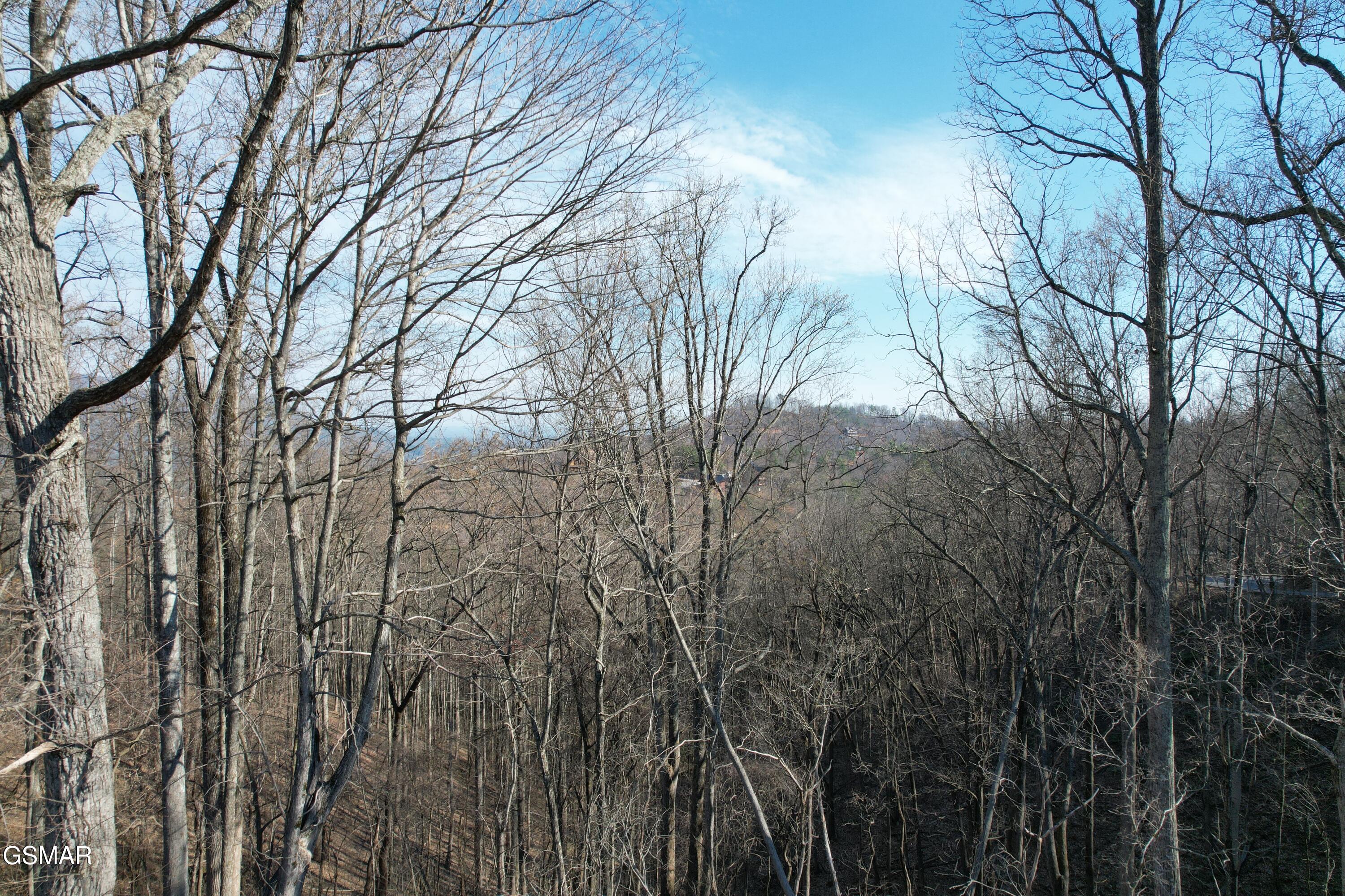 Lot 2b Spurling Way Sevierville TN 37862