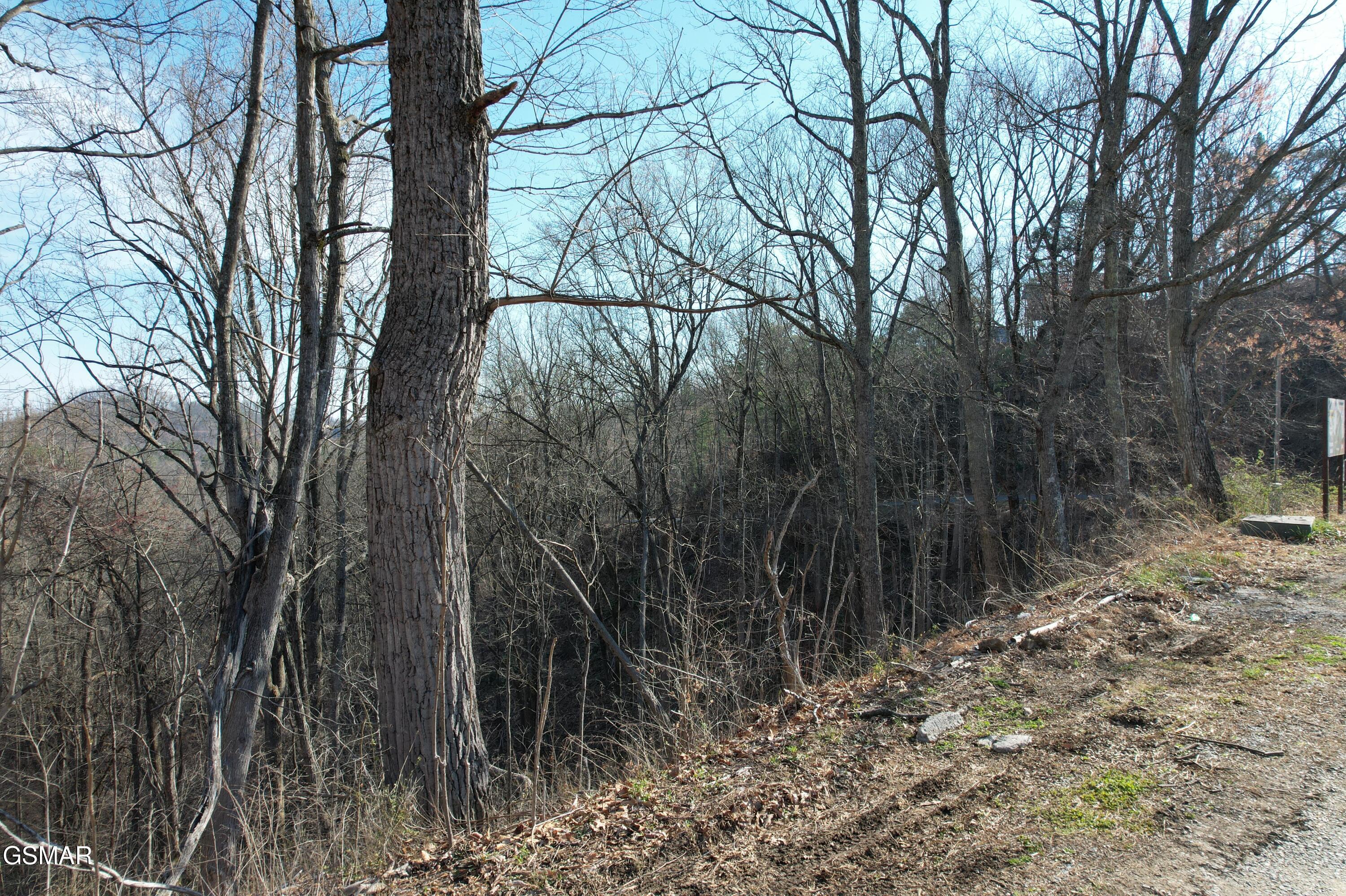 Lot 2b Spurling Way Sevierville TN 37862