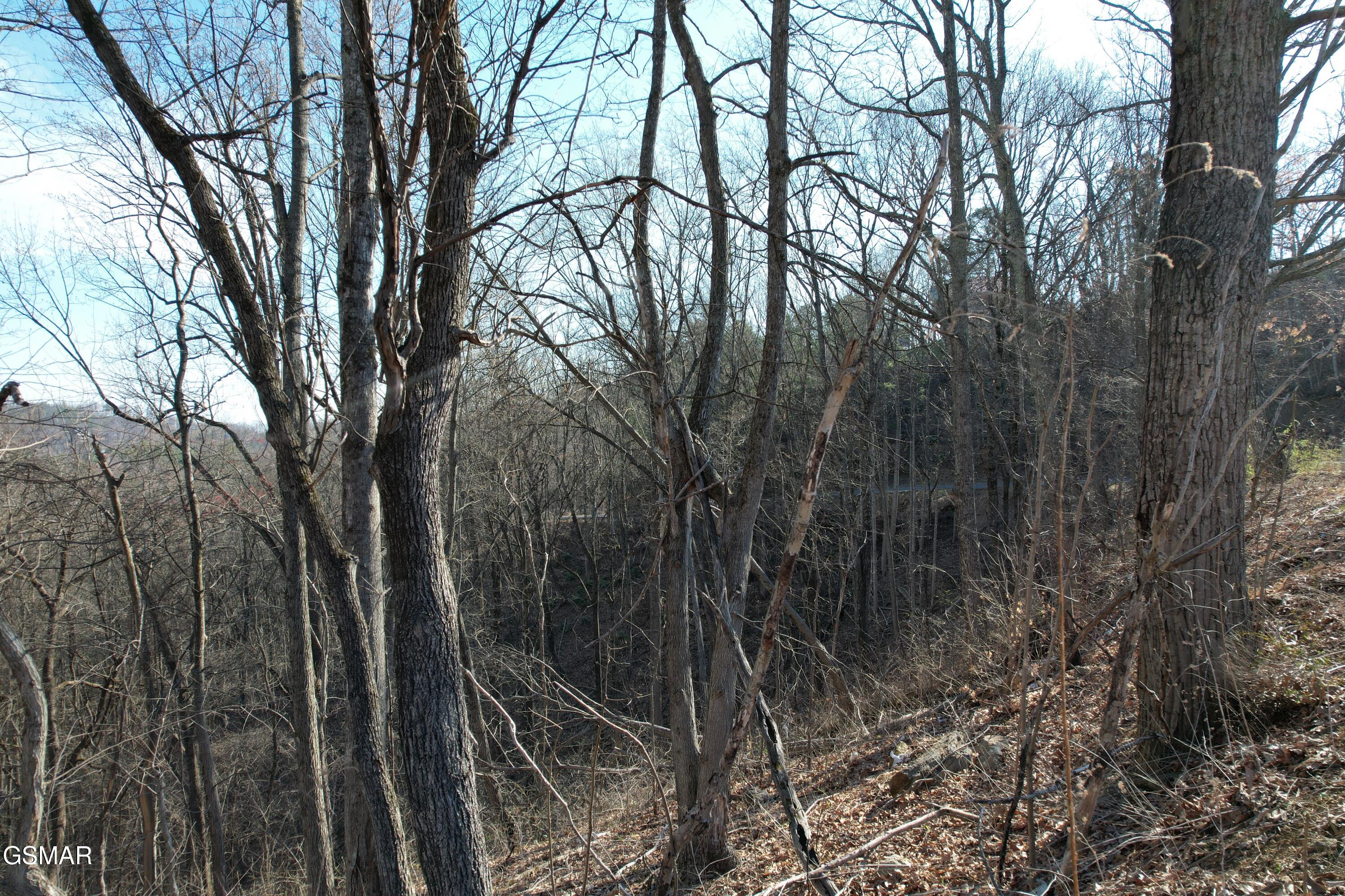 Lot 2b Spurling Way Sevierville TN 37862