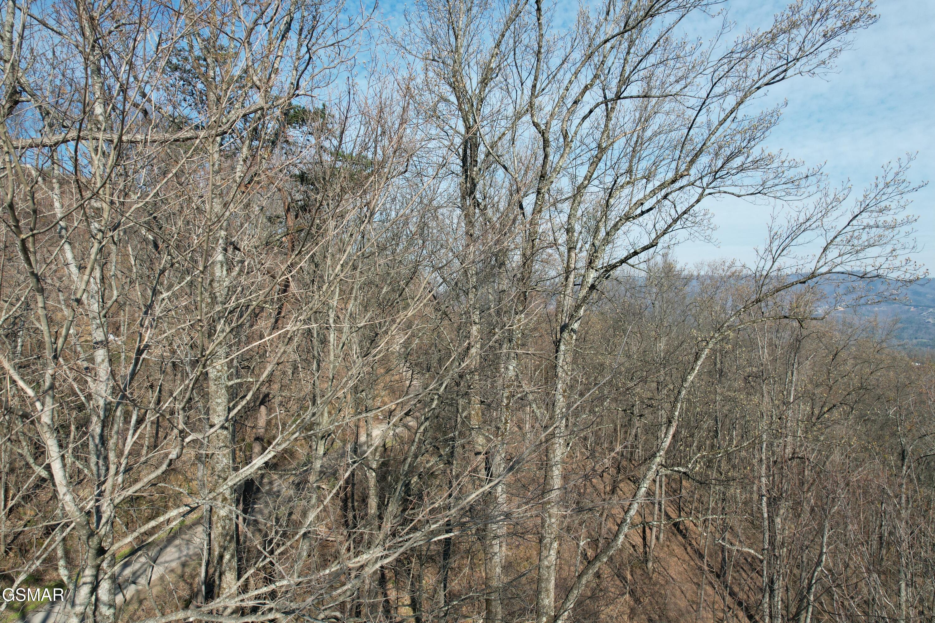 Lot 2b Spurling Way Sevierville TN 37862